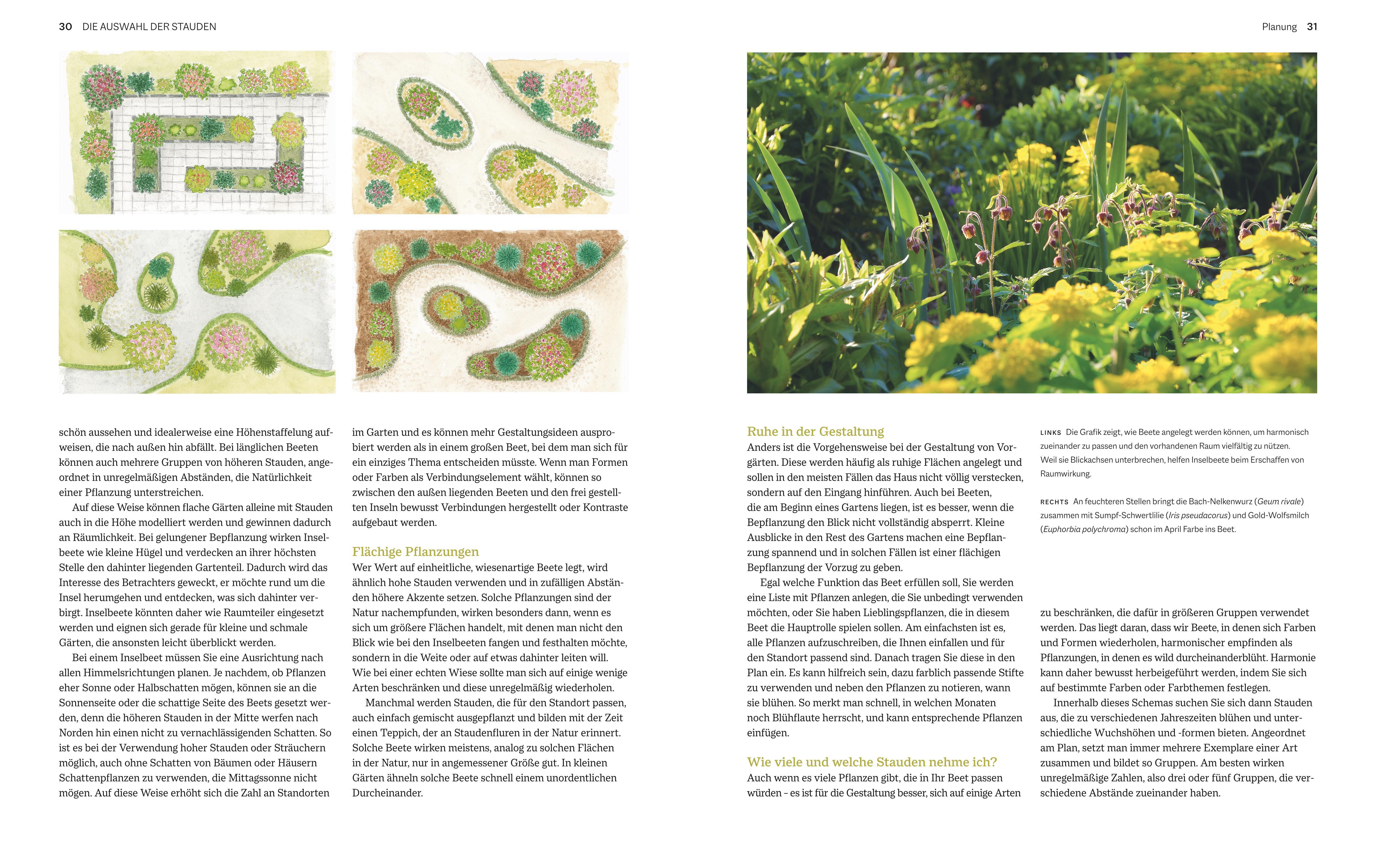 Beispielinhalt (Bild) Immerblühende Beete