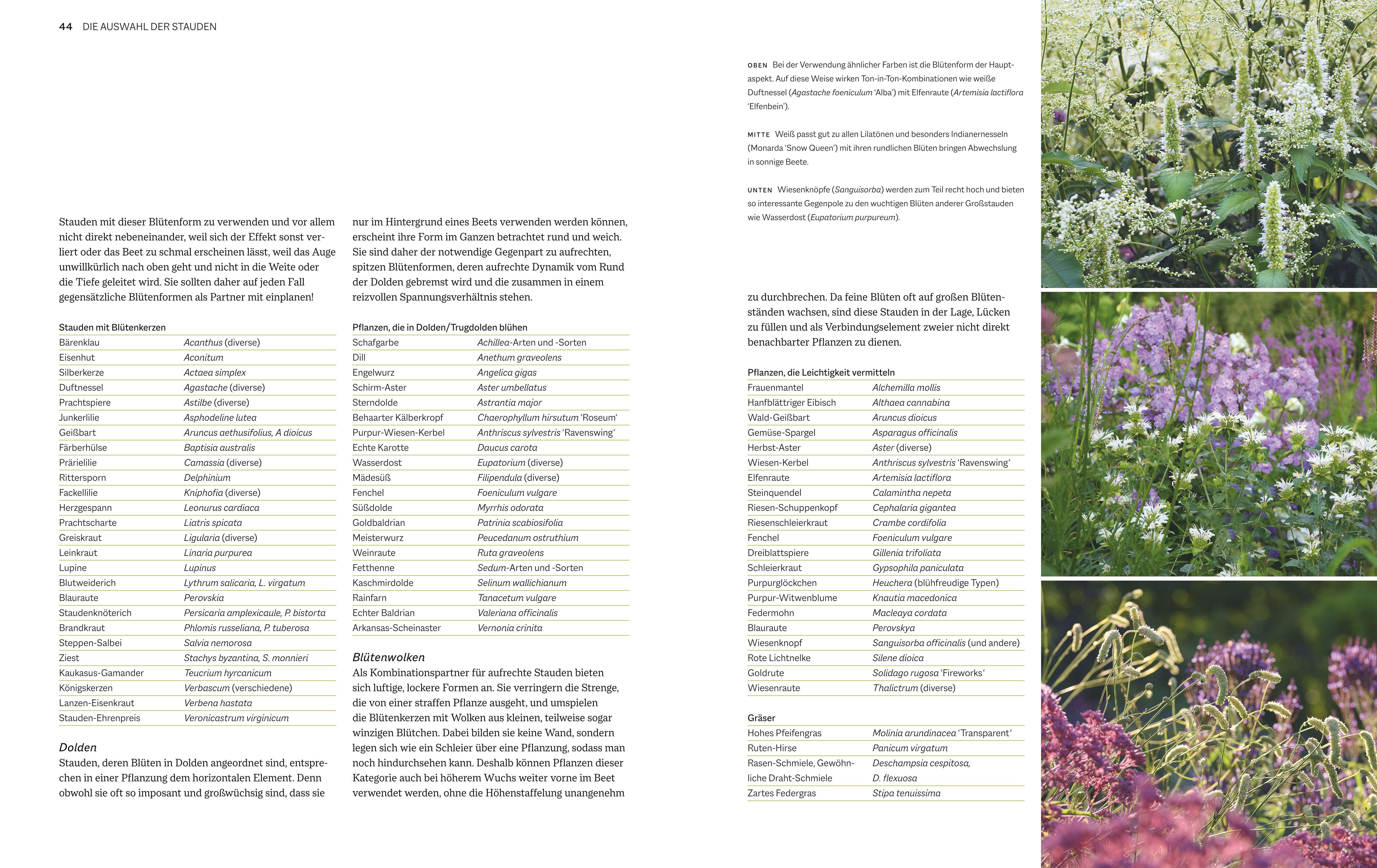 Beispielinhalt (Bild) Immerblühende Beete