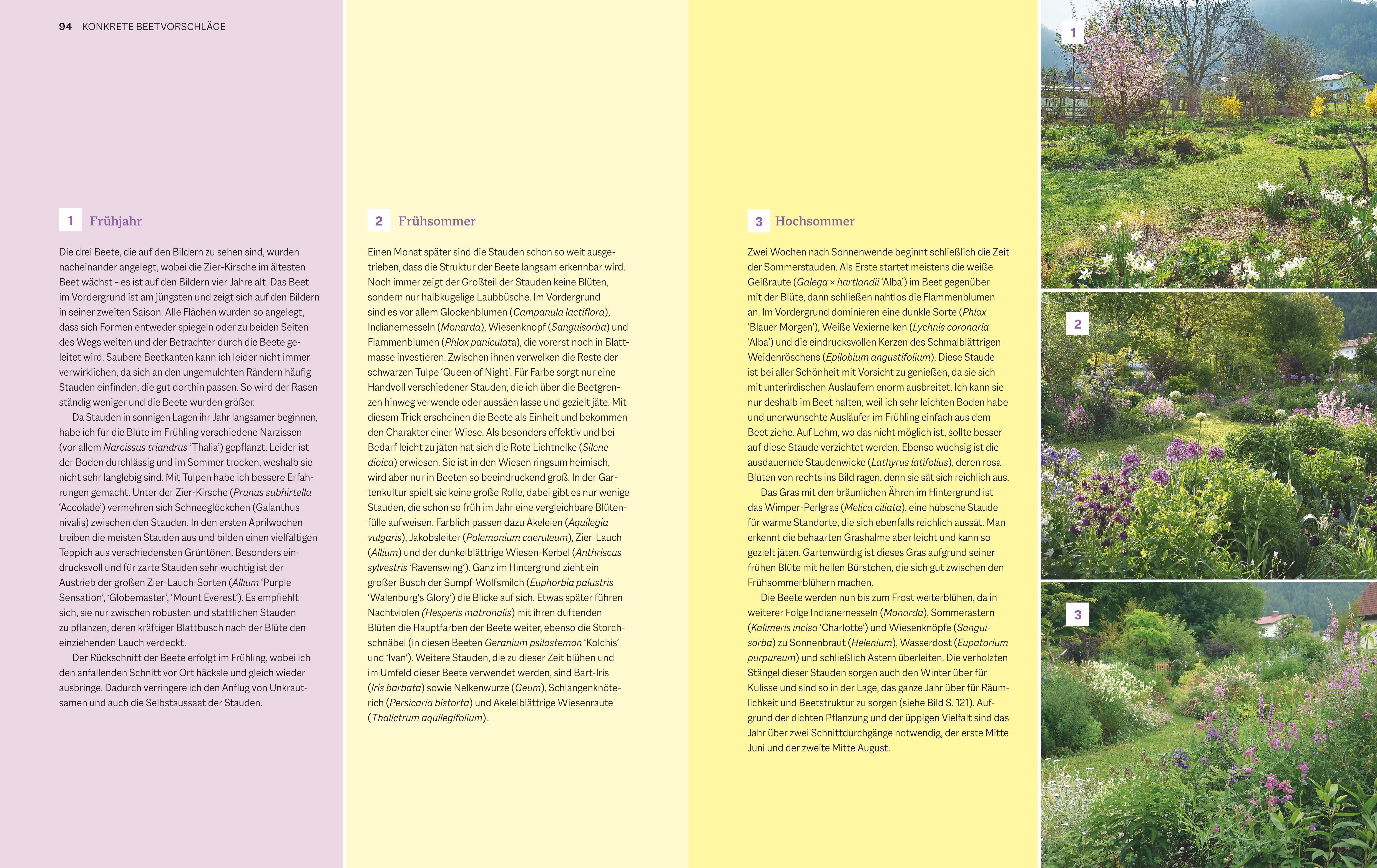 Beispielinhalt (Bild) Immerblühende Beete