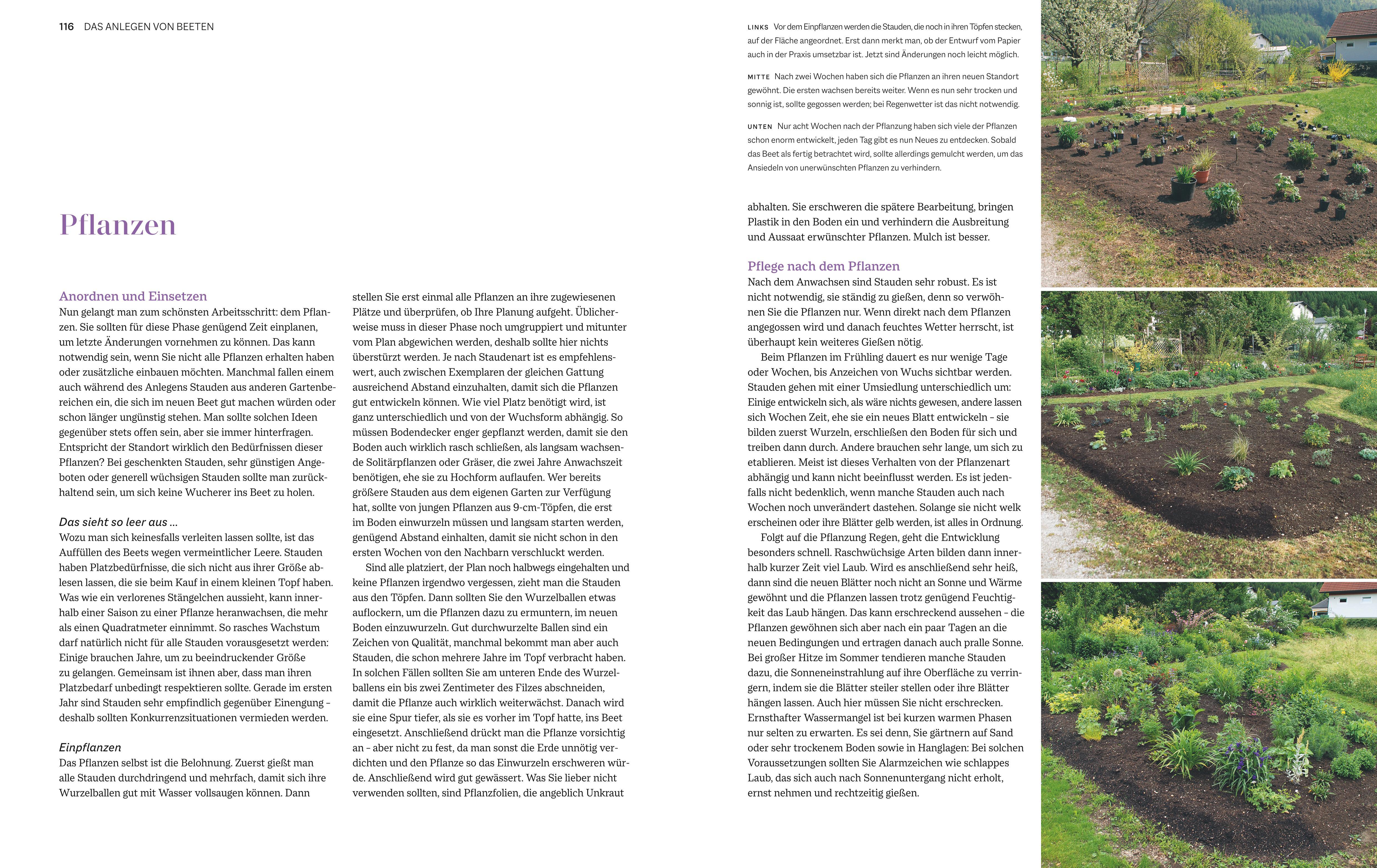 Beispielinhalt (Bild) Immerblühende Beete