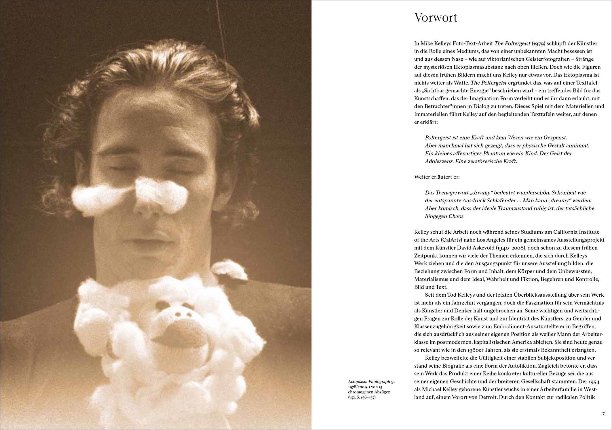 Beispielinhalt (Bild) Mike Kelley