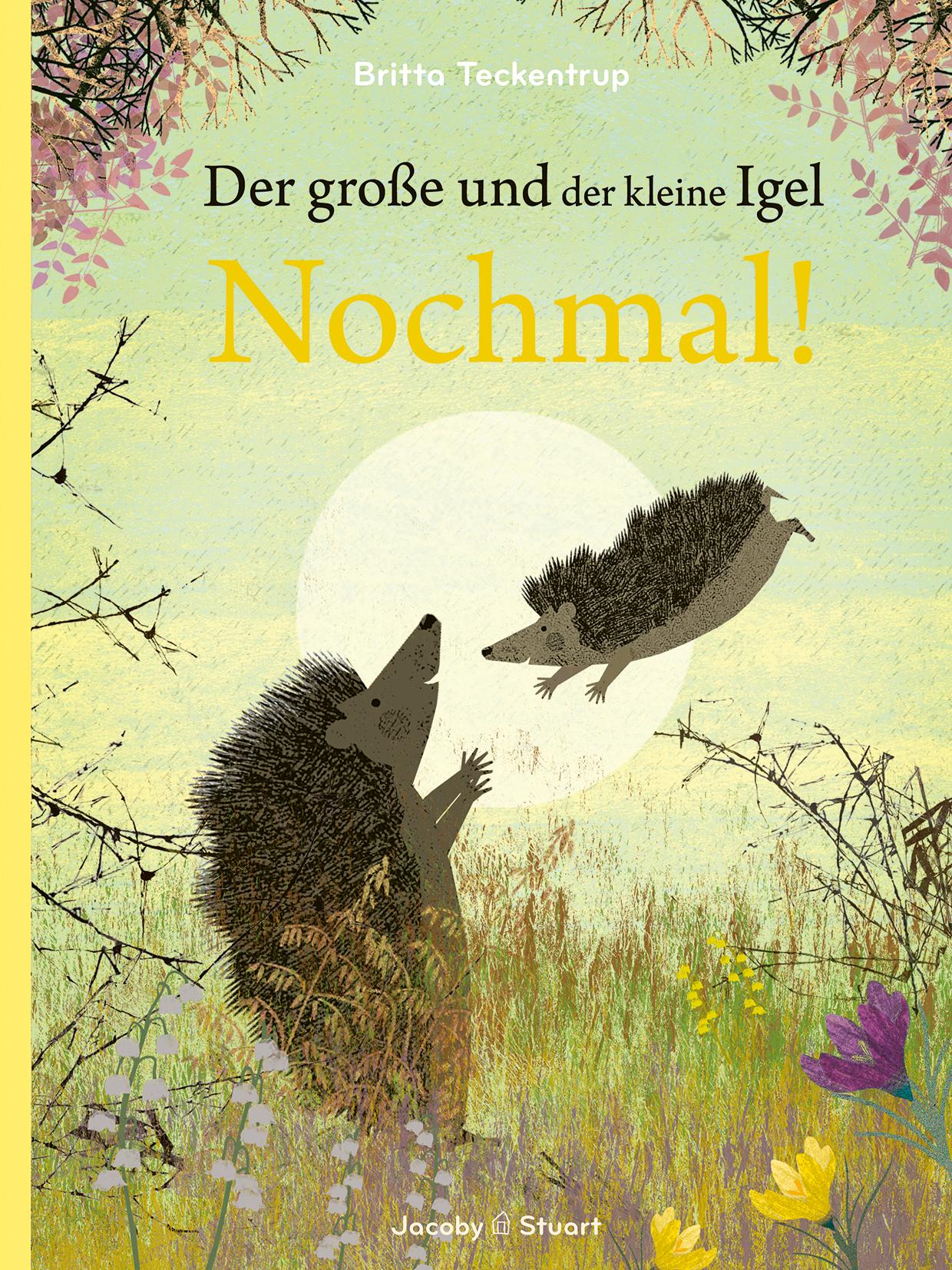 Vorderes Coverbild Der große und der kleine Igel / Nochmal!