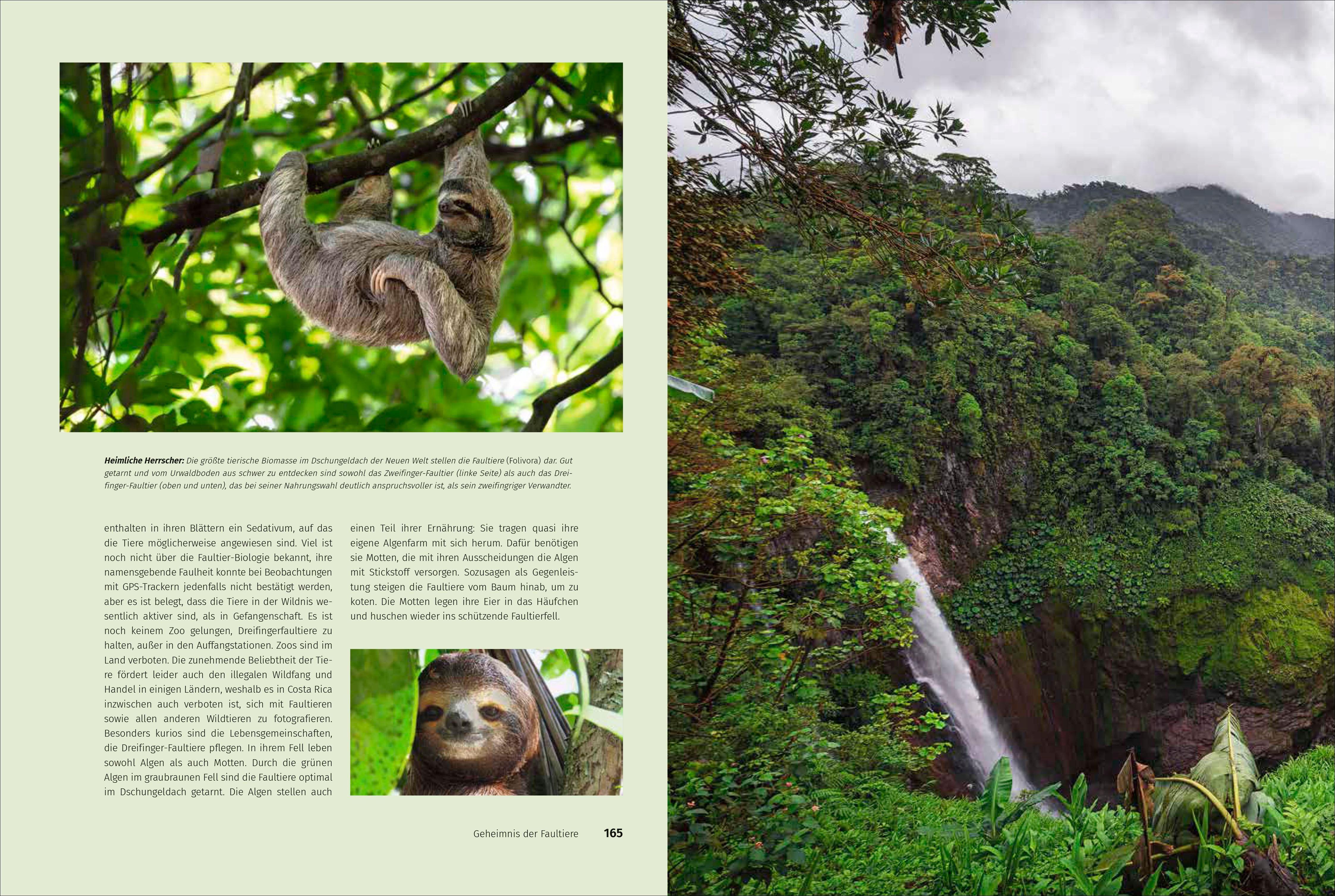 Beispielinhalt (Bild) Mein Costa Rica