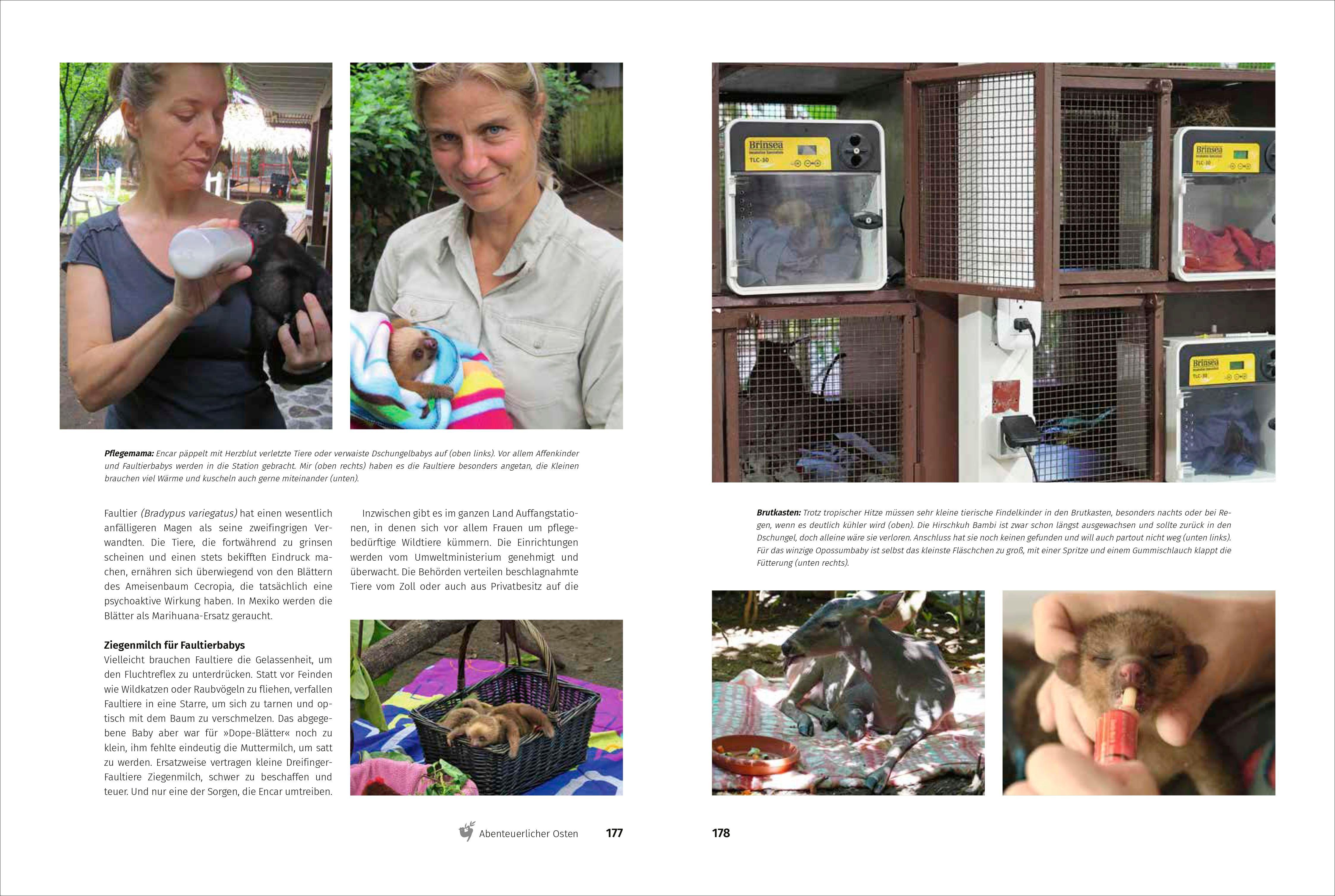 Beispielinhalt (Bild) Mein Costa Rica