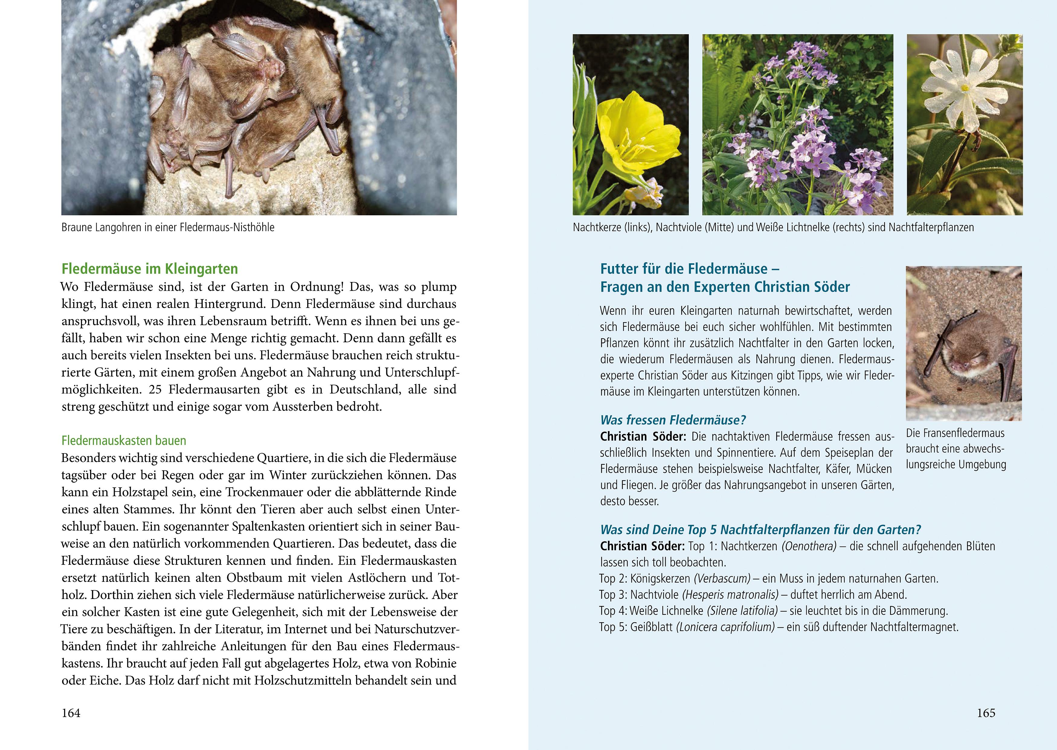 Beispielinhalt (Bild) Unser naturnaher Kleingarten