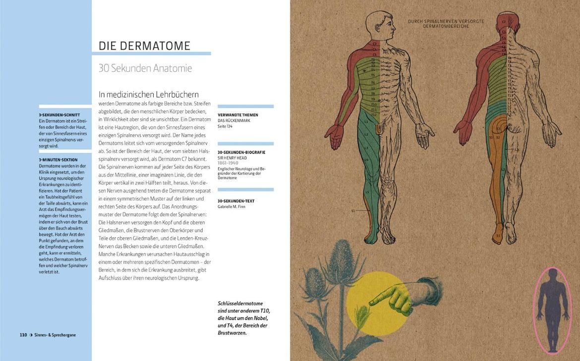 Beispielinhalt (Bild) Anatomie und Medizin in 30 Sekunden
