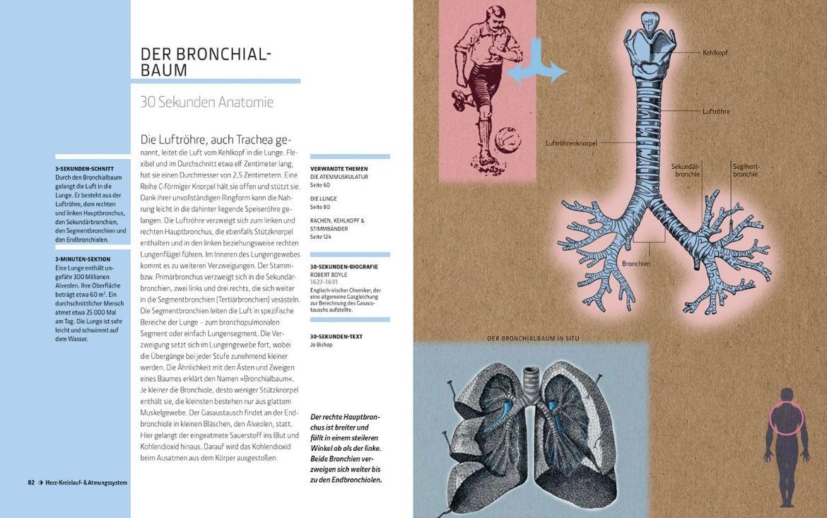 Beispielinhalt (Bild) Anatomie und Medizin in 30 Sekunden