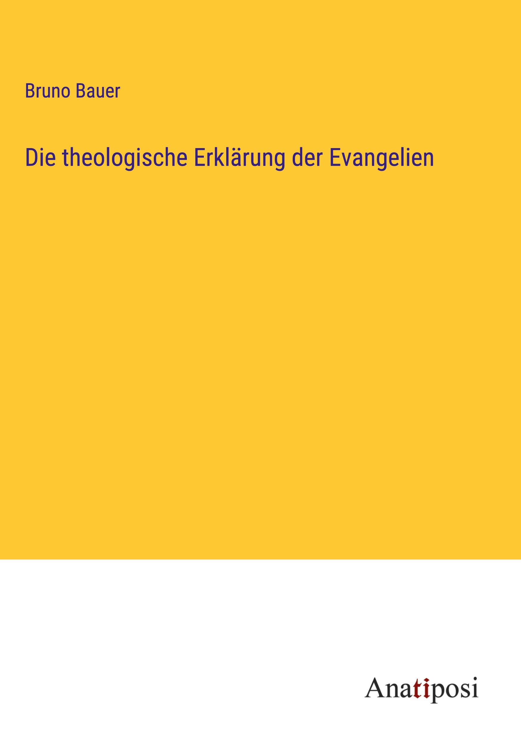 Vorderes Coverbild Die theologische Erklärung der Evangelien