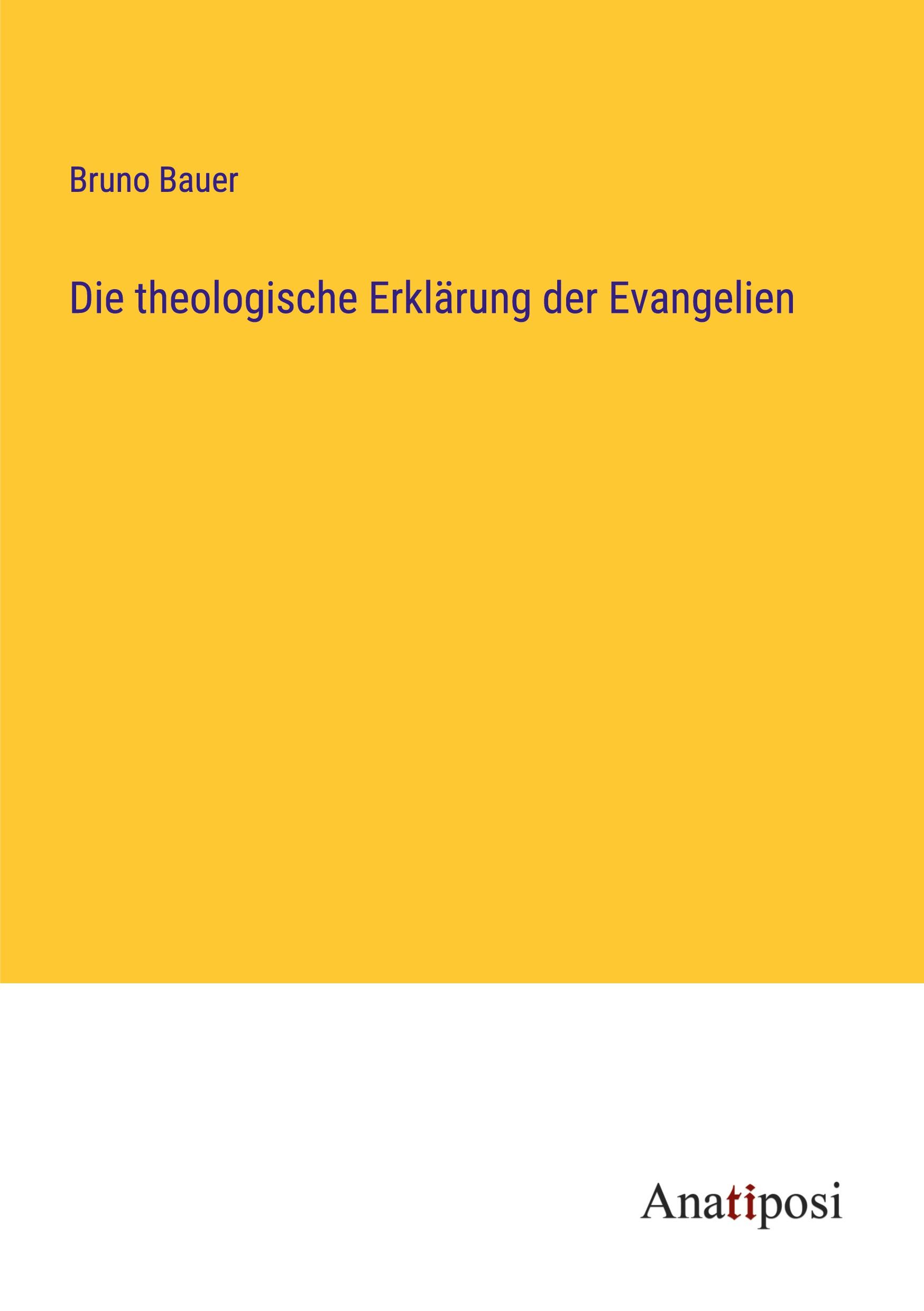 Vorderes Coverbild Die theologische Erklärung der Evangelien