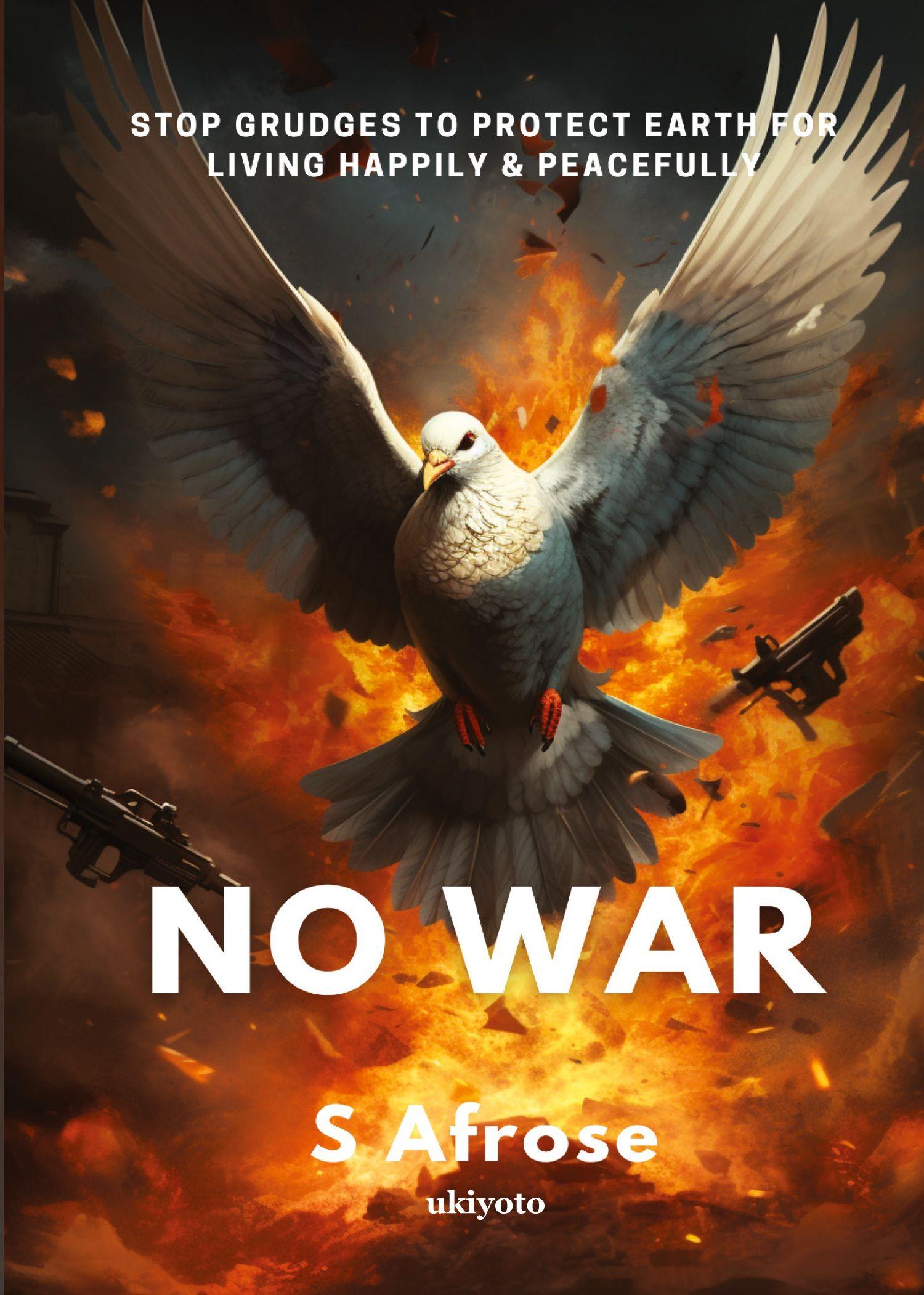 Vorderes Coverbild No War