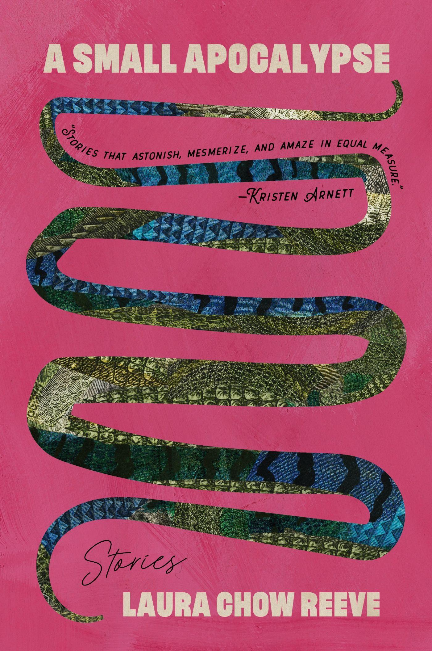 Vorderes Coverbild A Small Apocalypse