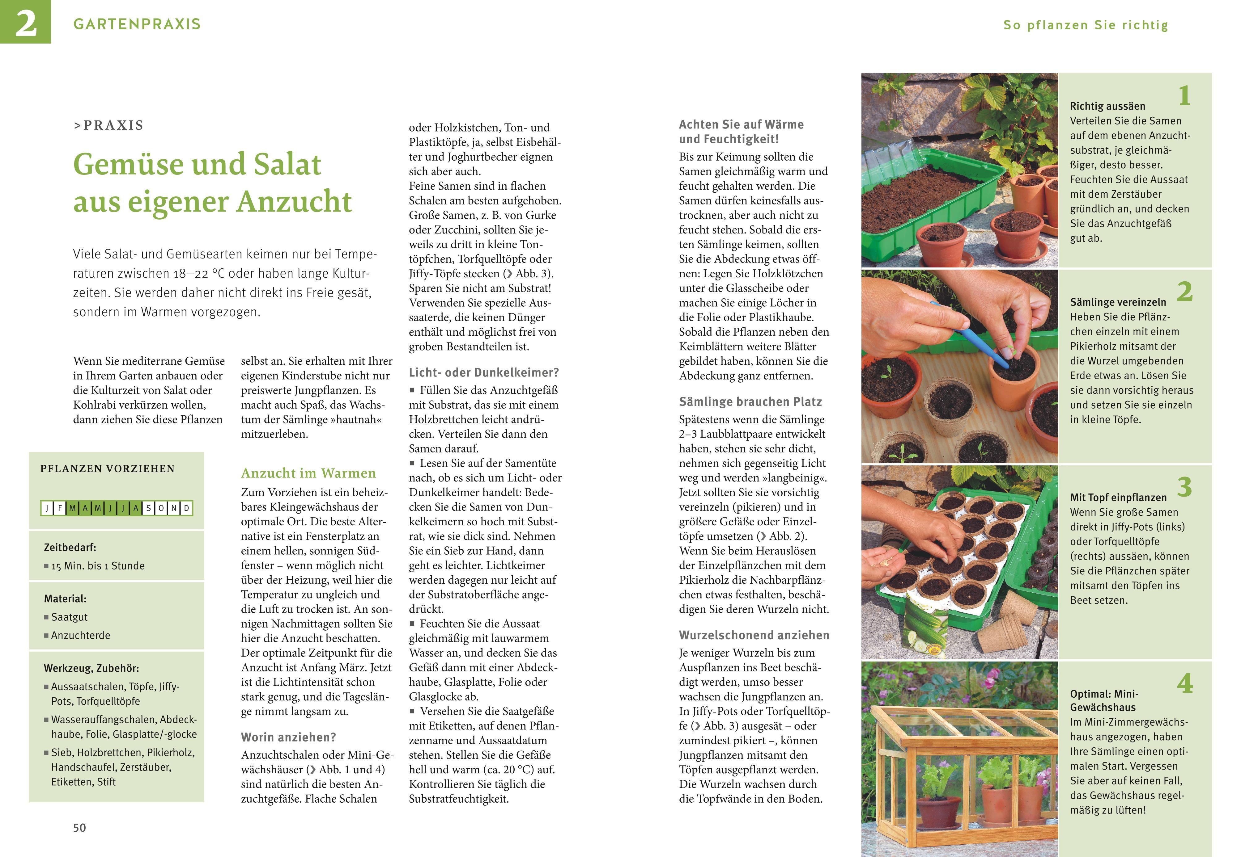 Beispielinhalt (Bild) Obst & Gemüse selbst anbauen