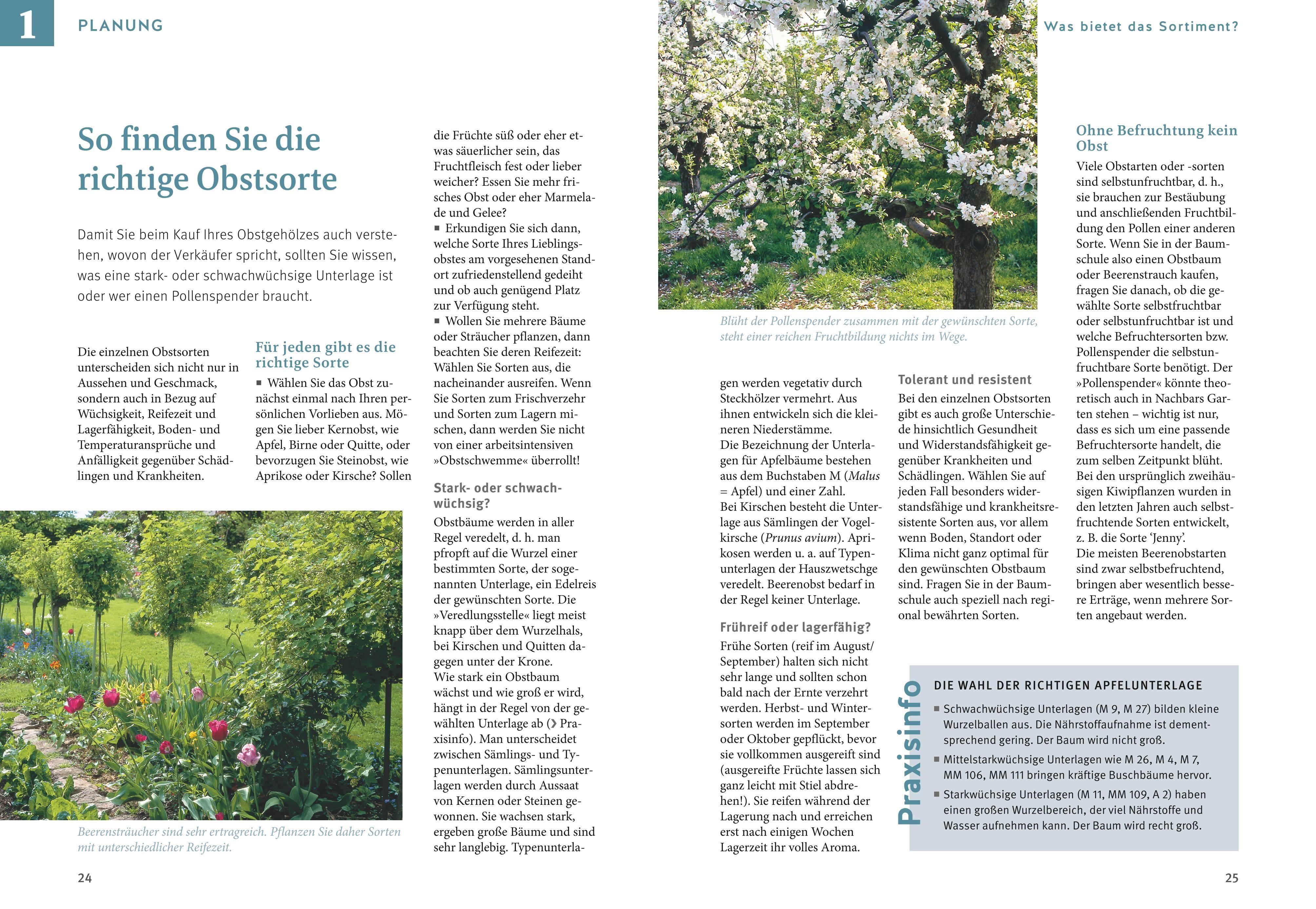 Beispielinhalt (Bild) Obst & Gemüse selbst anbauen