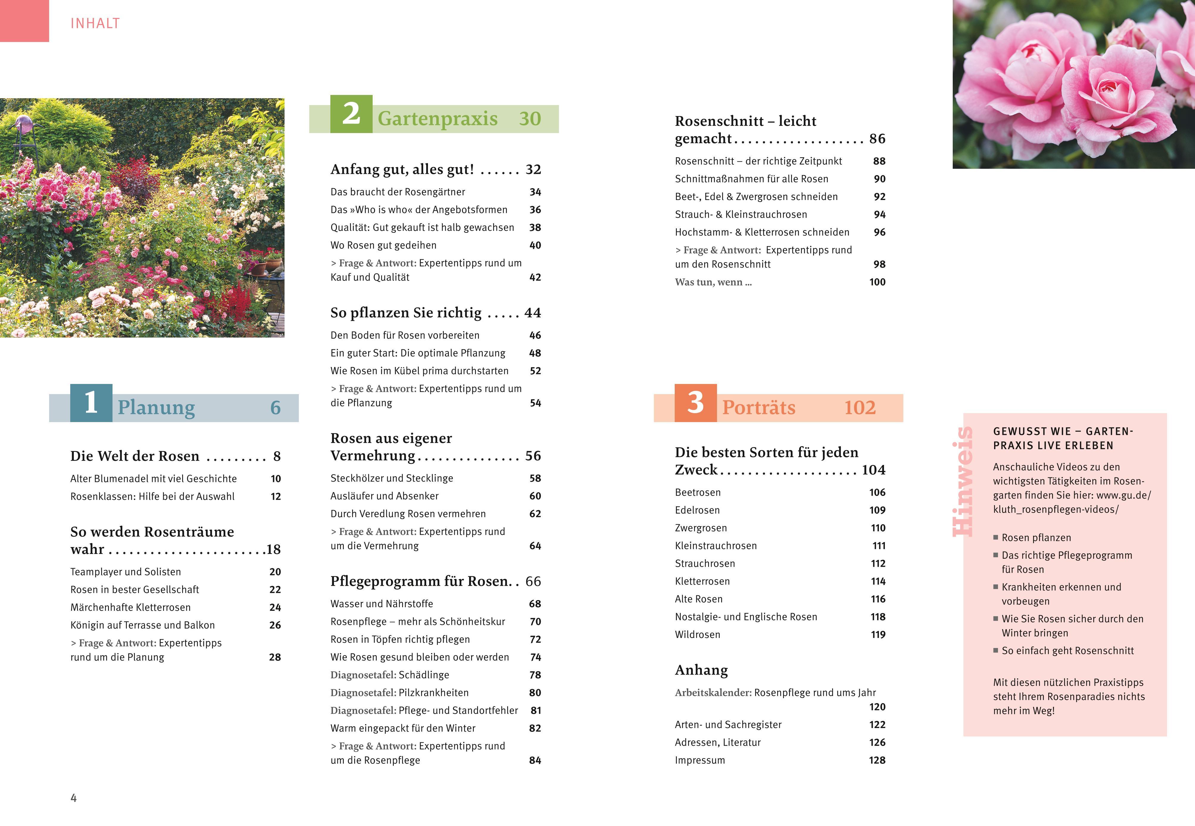 Beispielinhalt (Bild) Rosen pflegen