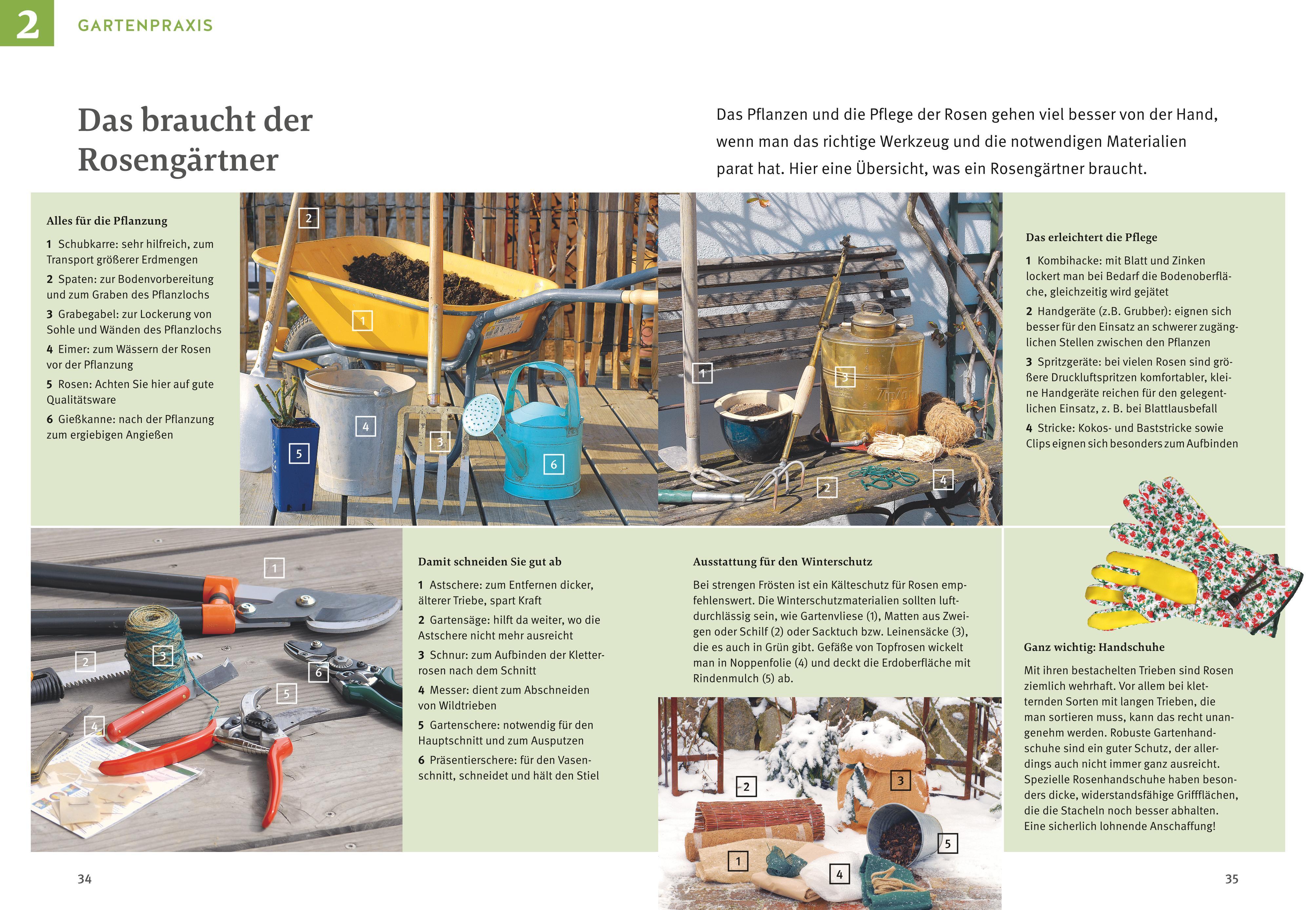 Beispielinhalt (Bild) Rosen pflegen