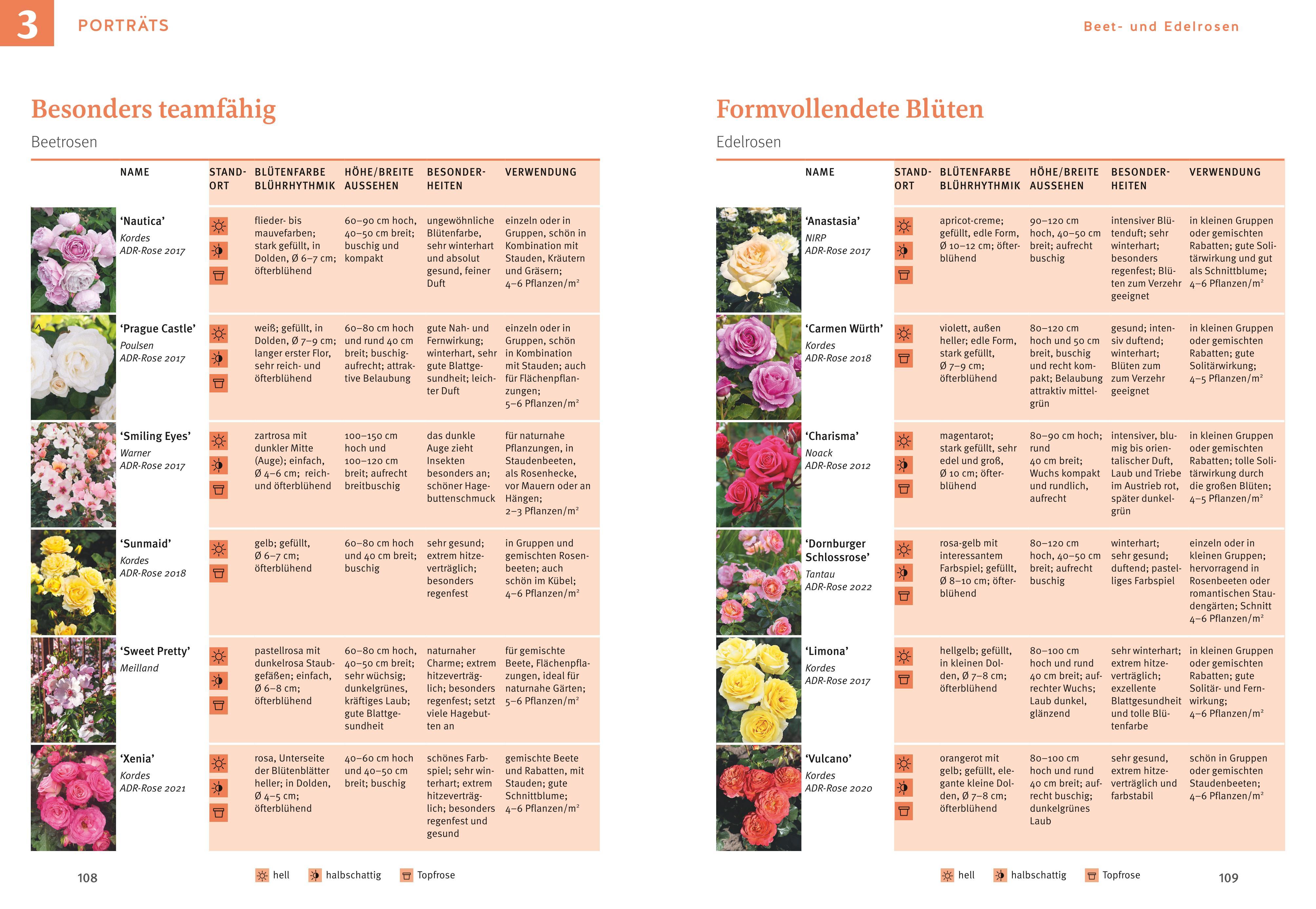 Beispielinhalt (Bild) Rosen pflegen