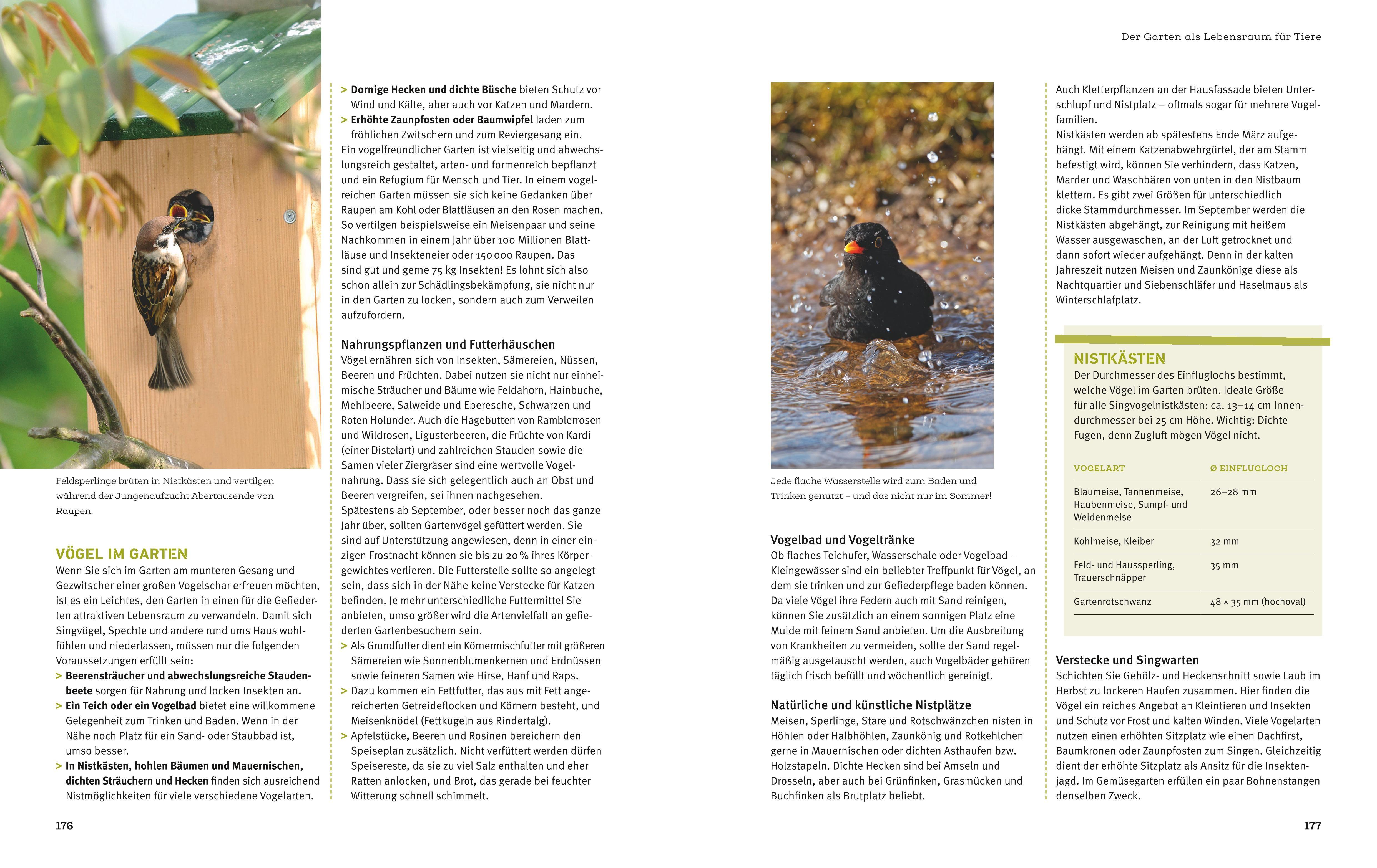 Beispielinhalt (Bild) Projekt Garten