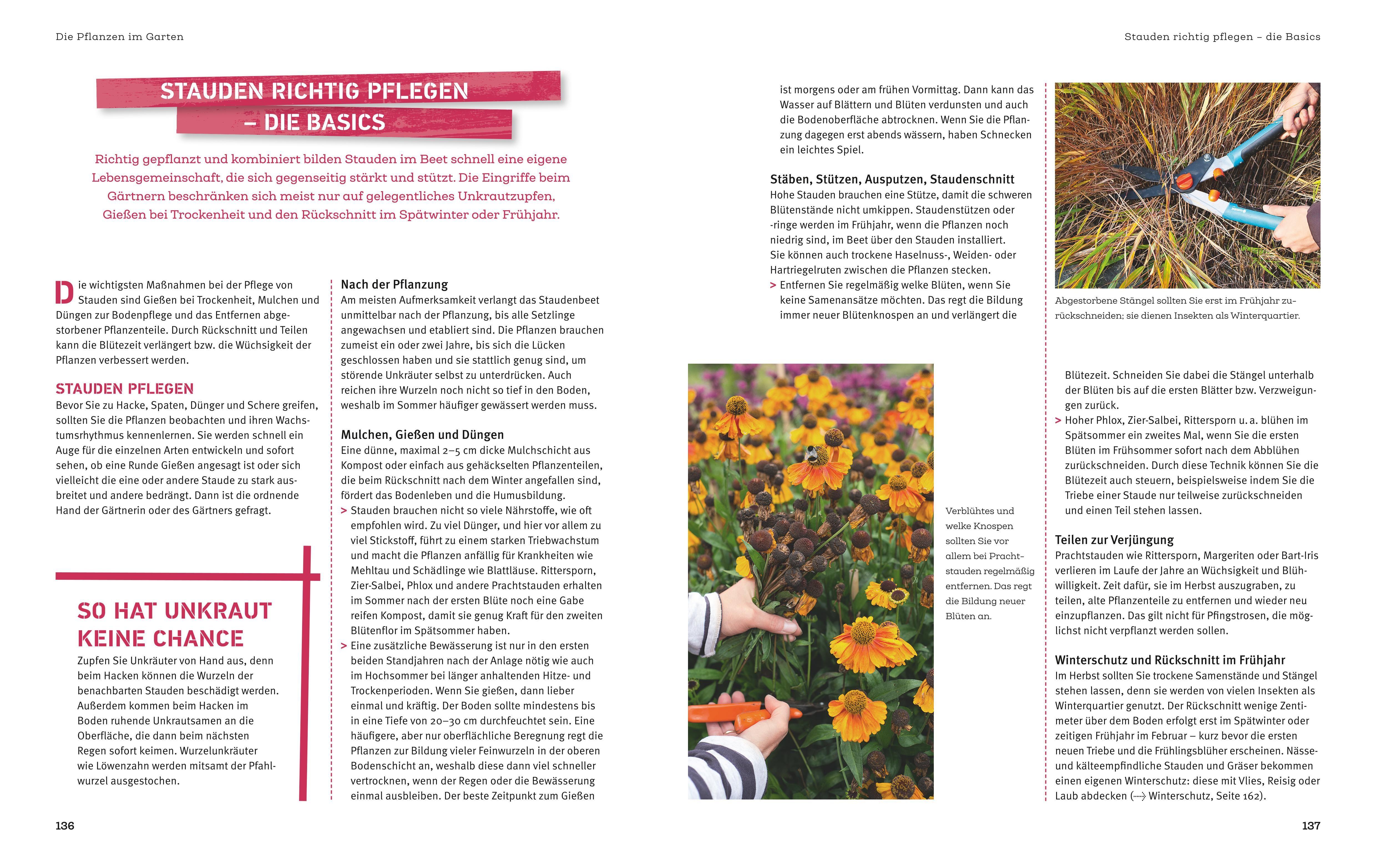 Beispielinhalt (Bild) Projekt Garten