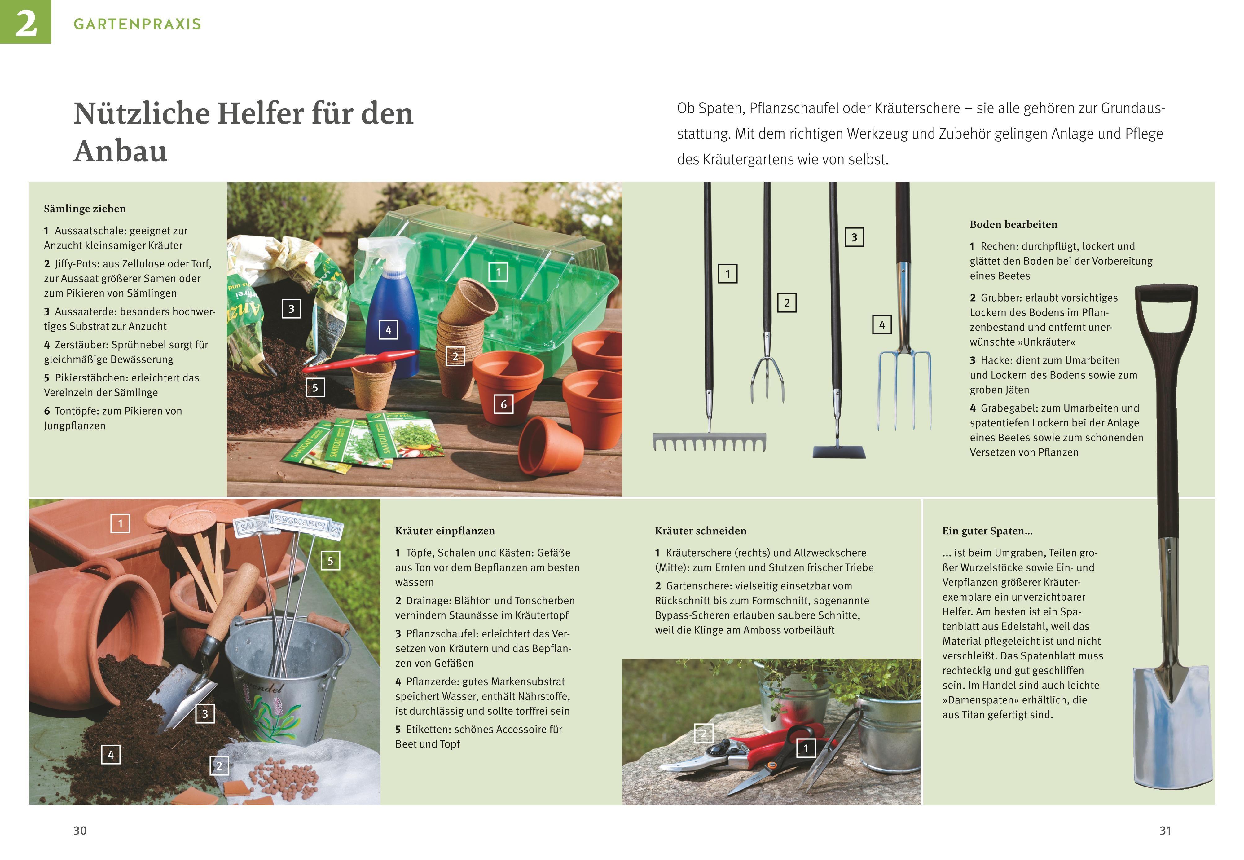 Beispielinhalt (Bild) Kräuter selbst anbauen