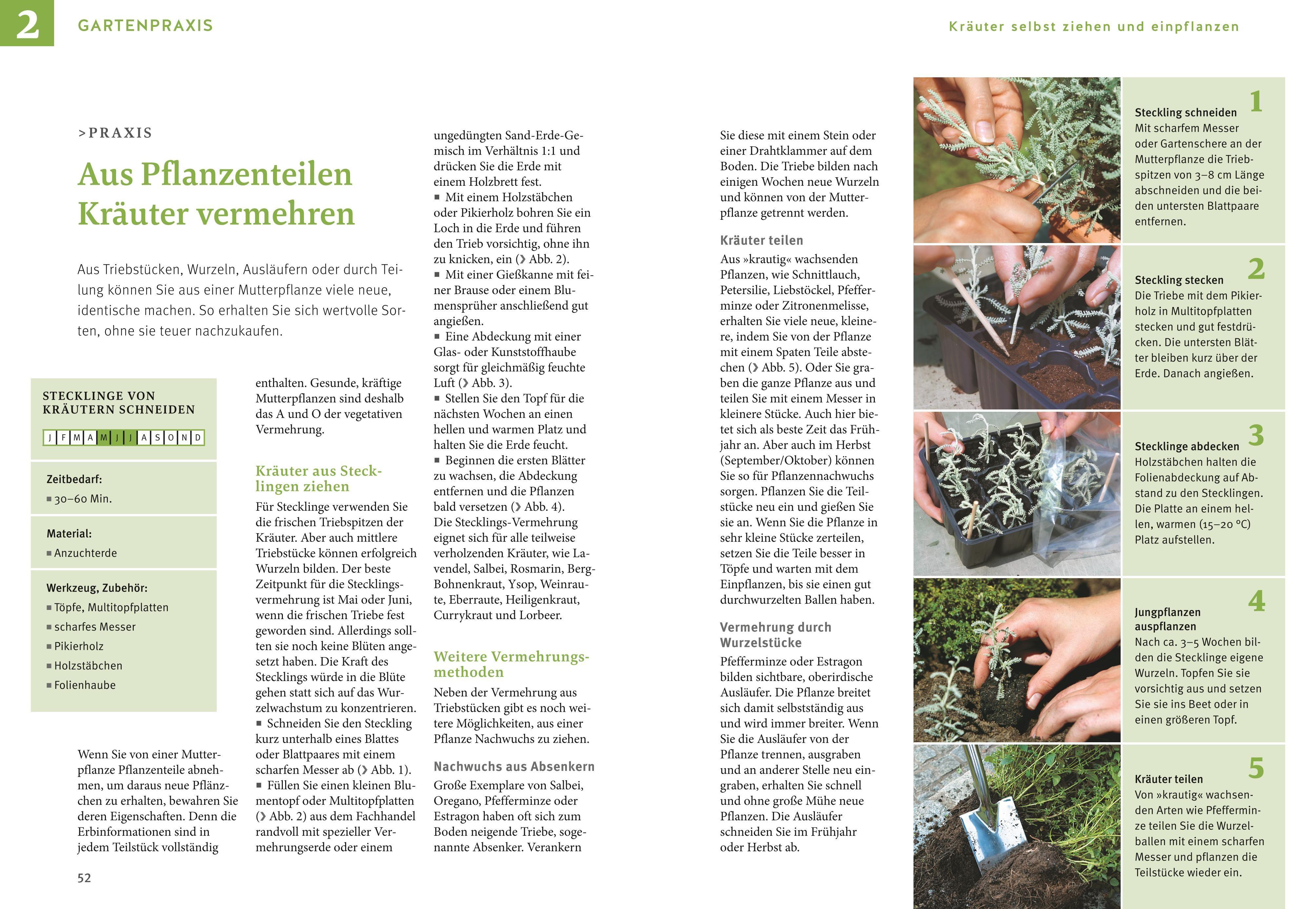 Beispielinhalt (Bild) Kräuter selbst anbauen