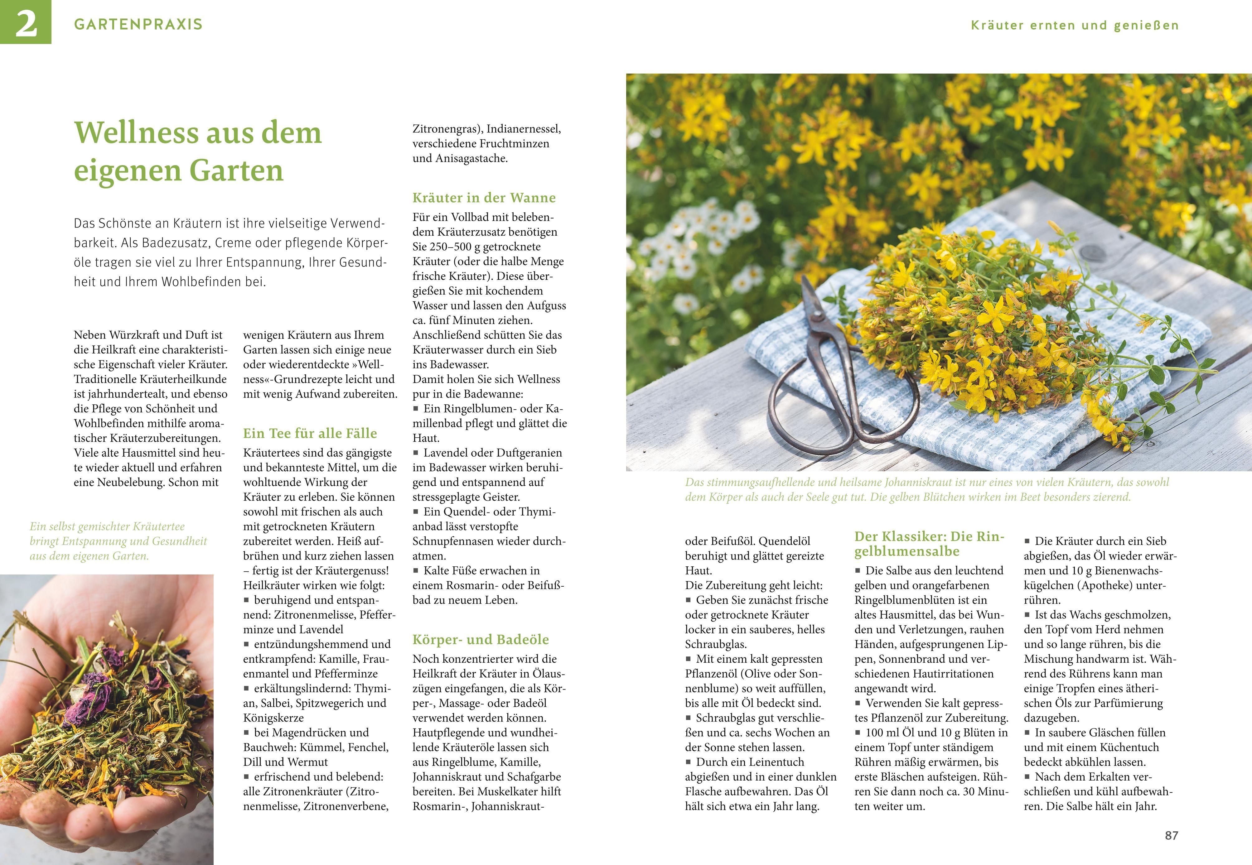 Beispielinhalt (Bild) Kräuter selbst anbauen