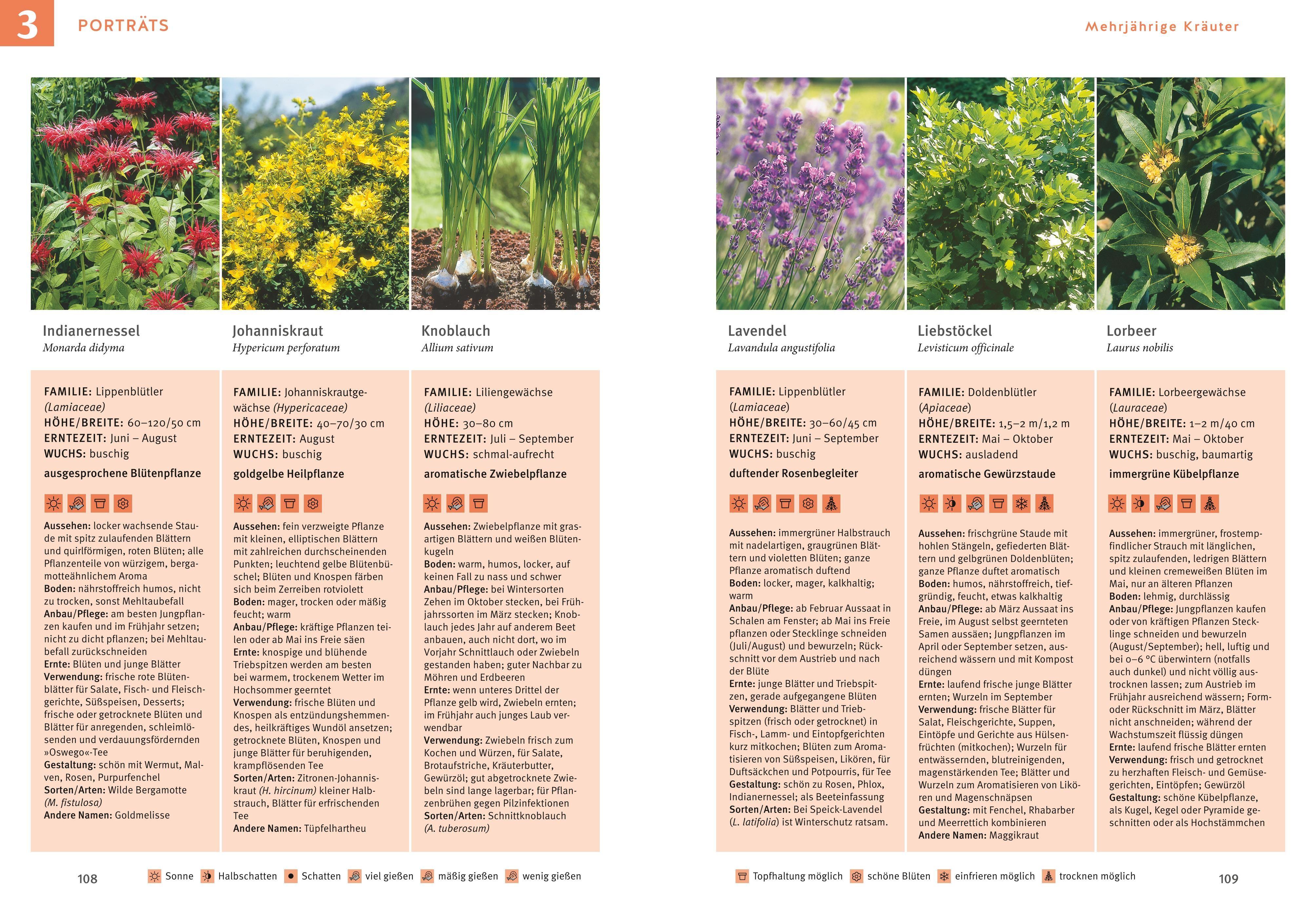 Beispielinhalt (Bild) Kräuter selbst anbauen