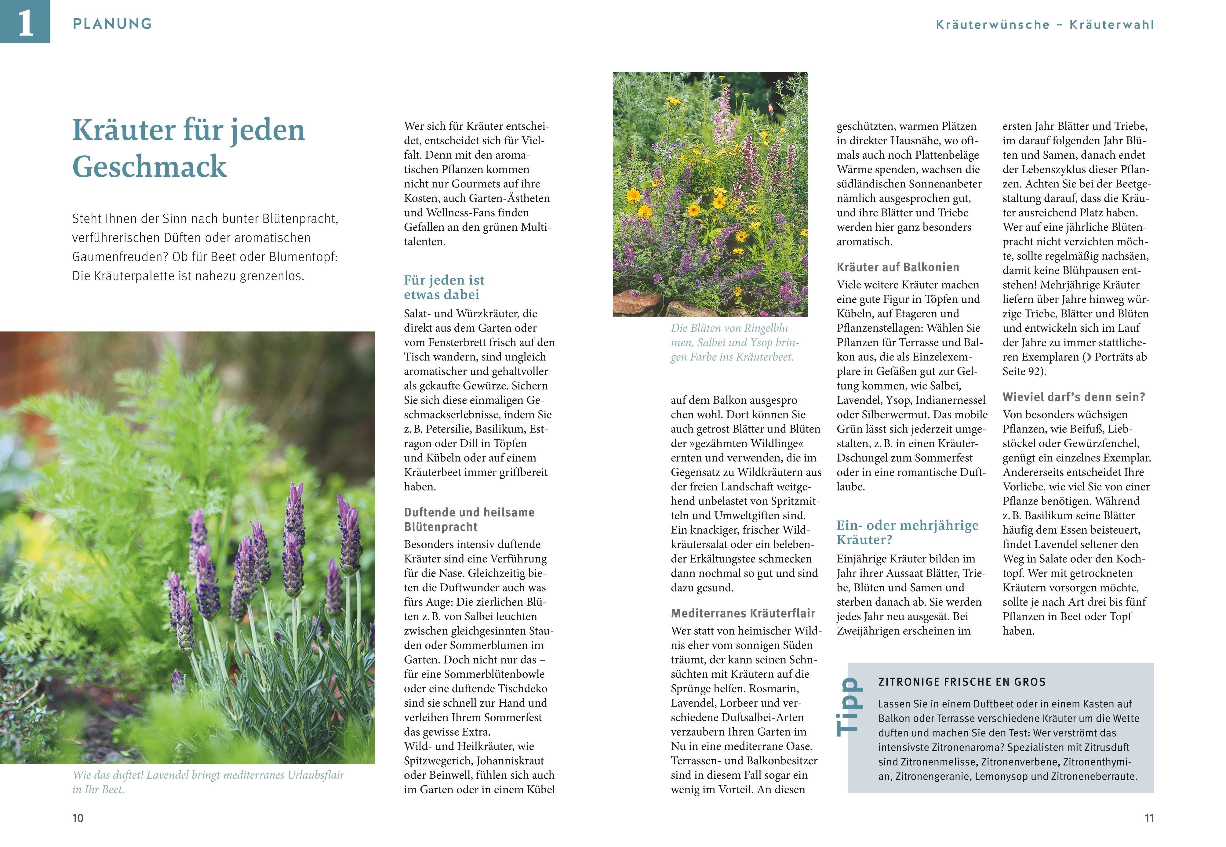 Beispielinhalt (Bild) Kräuter selbst anbauen