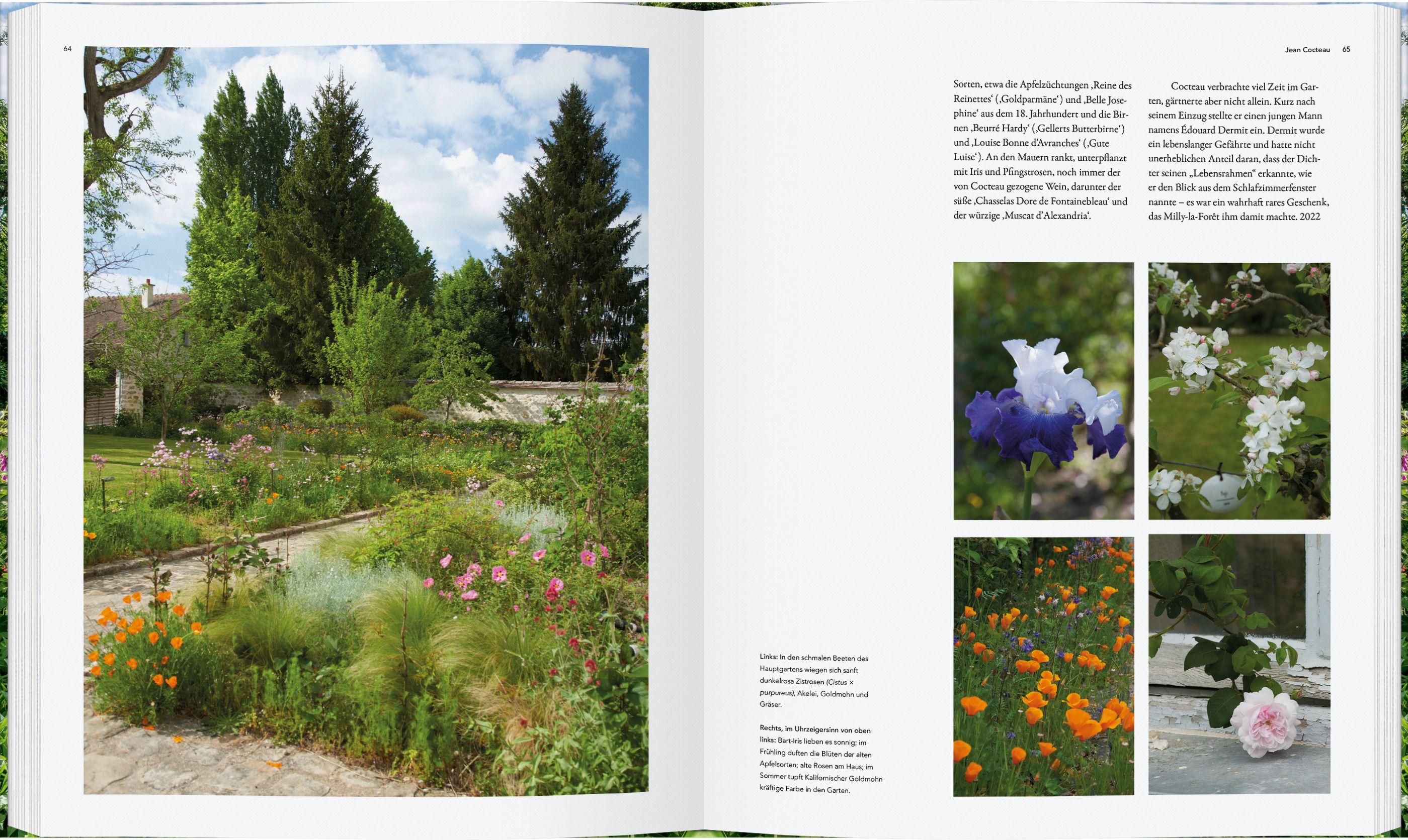 Beispielinhalt (Bild) Die Gärten der Literaten