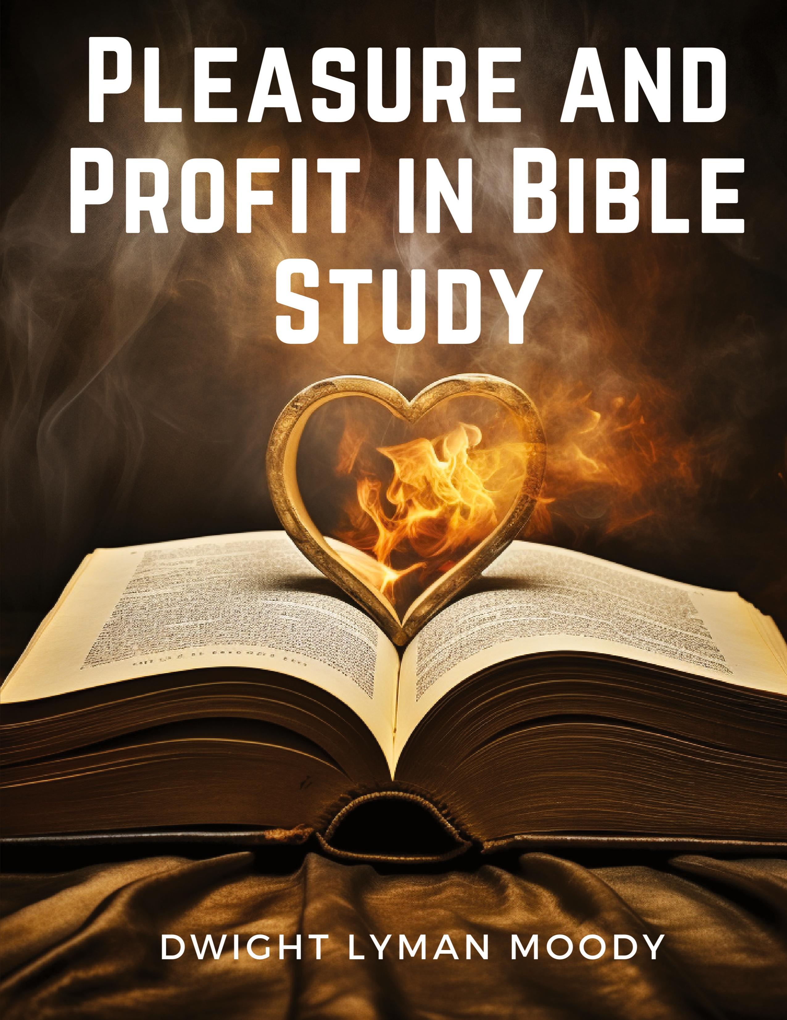 Vorderes Coverbild Pleasure and Profit in Bible Study