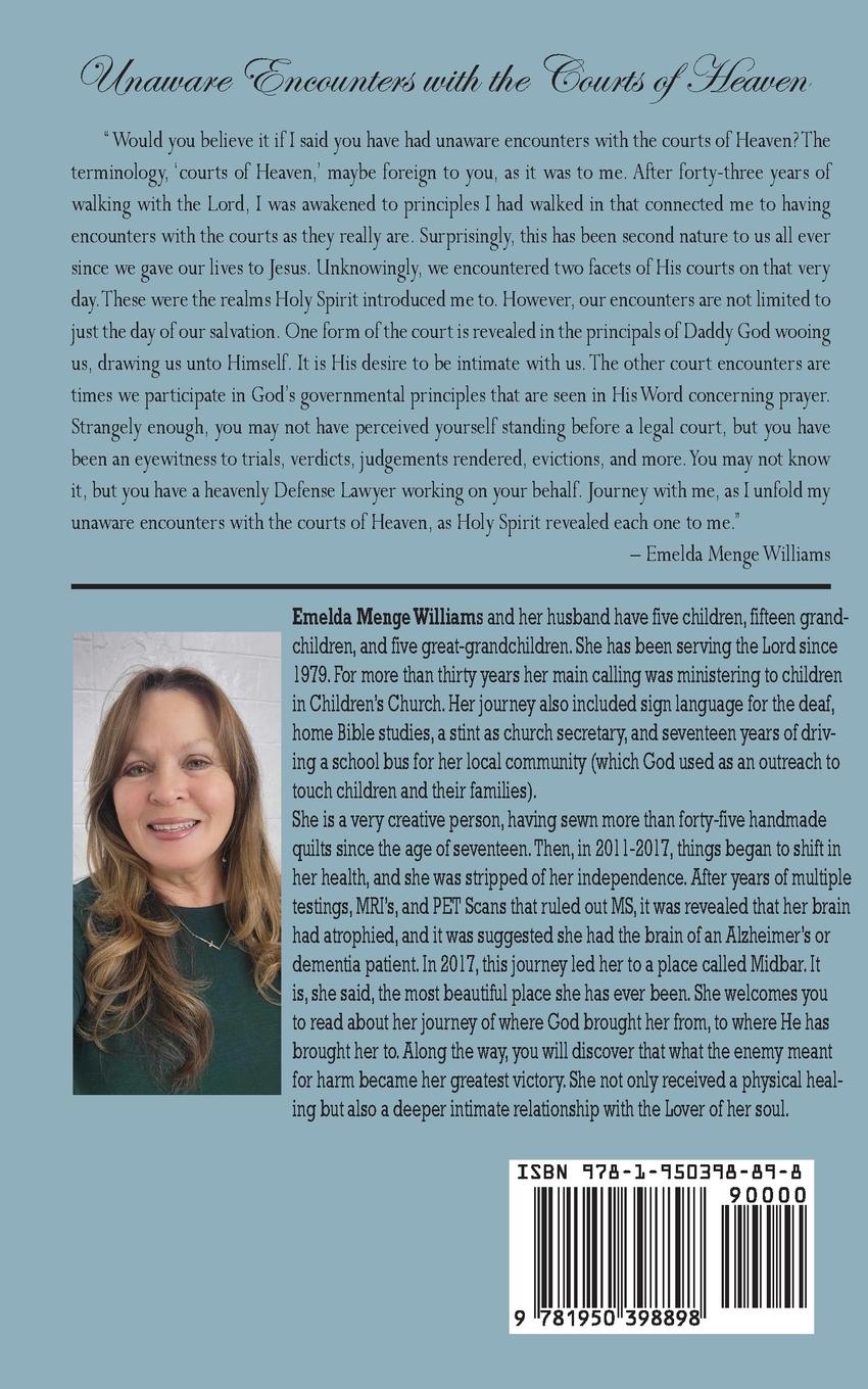 Rückseitencover Unaware Encounters with the Courts of Heaven