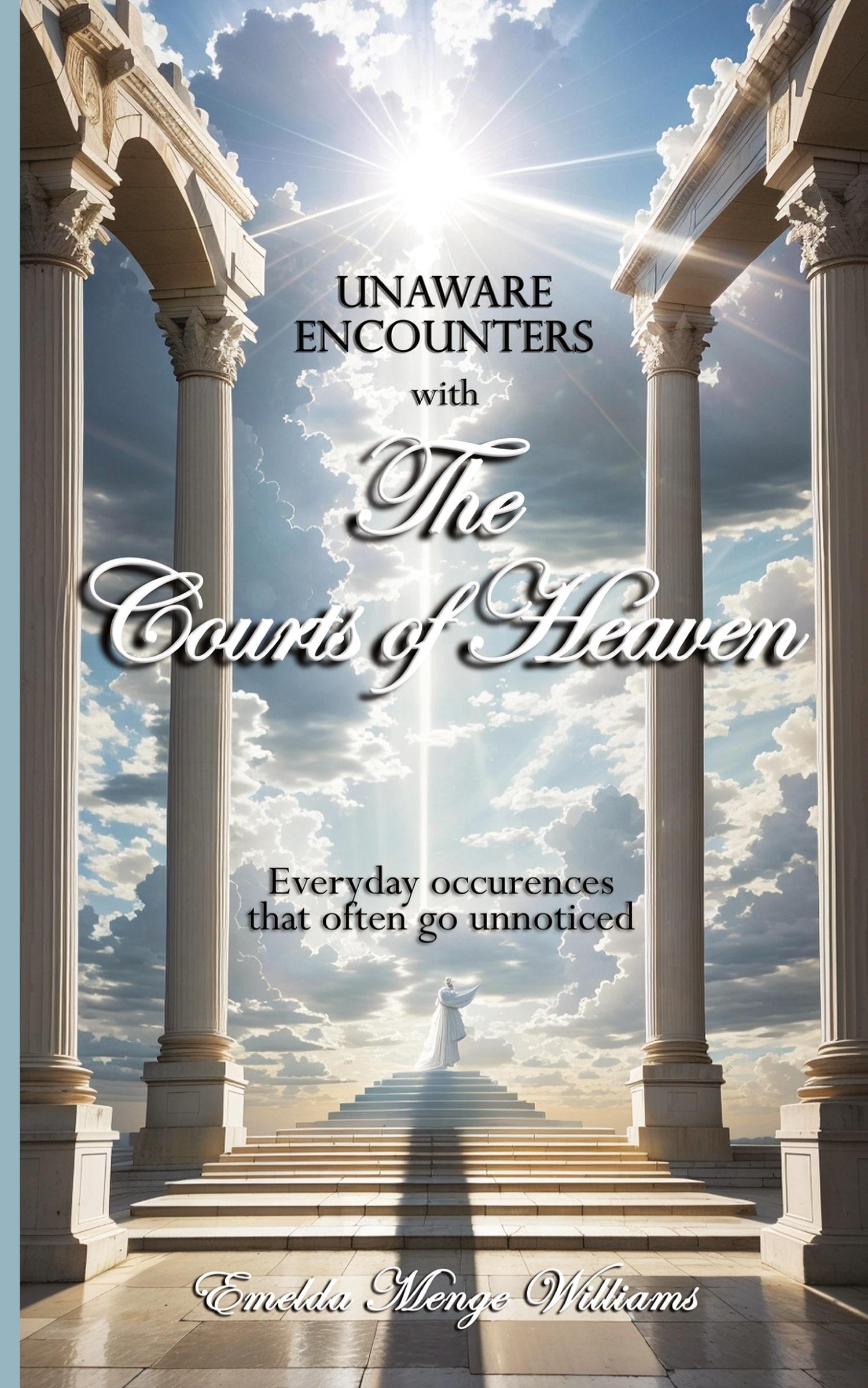 Vorderes Coverbild Unaware Encounters with the Courts of Heaven