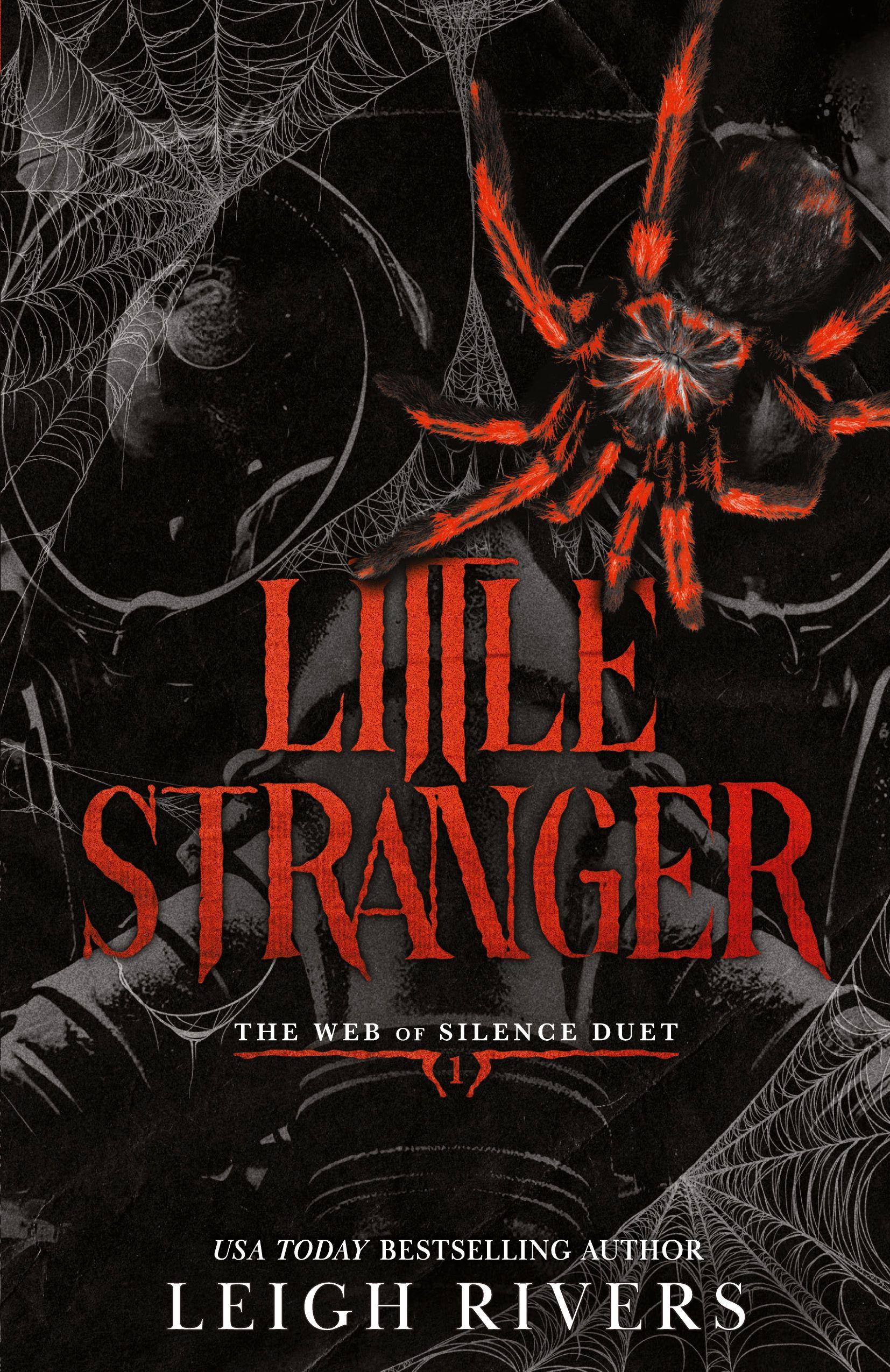 Vorderes Coverbild Little Stranger