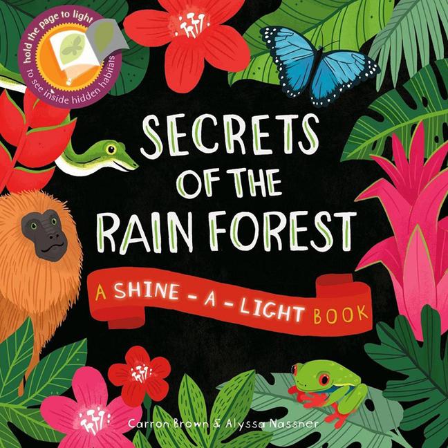 Vorderes Coverbild Secrets of the Rain Forest