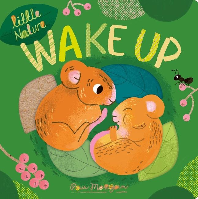 Vorderes Coverbild Wake Up