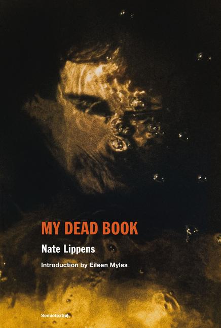 Vorderes Coverbild My Dead Book