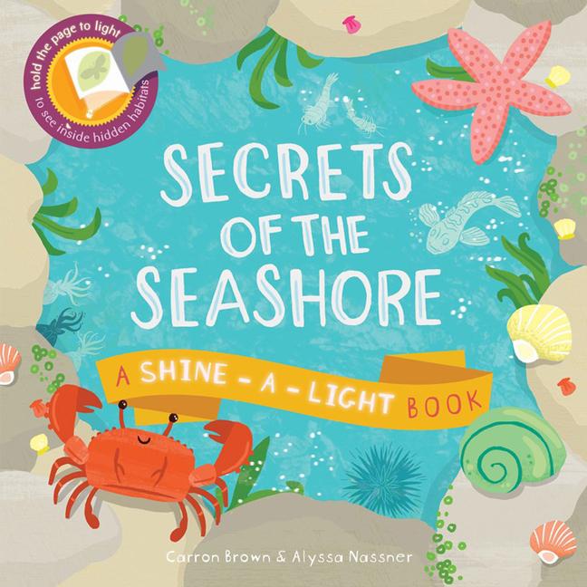 Vorderes Coverbild Secrets of the Seashore