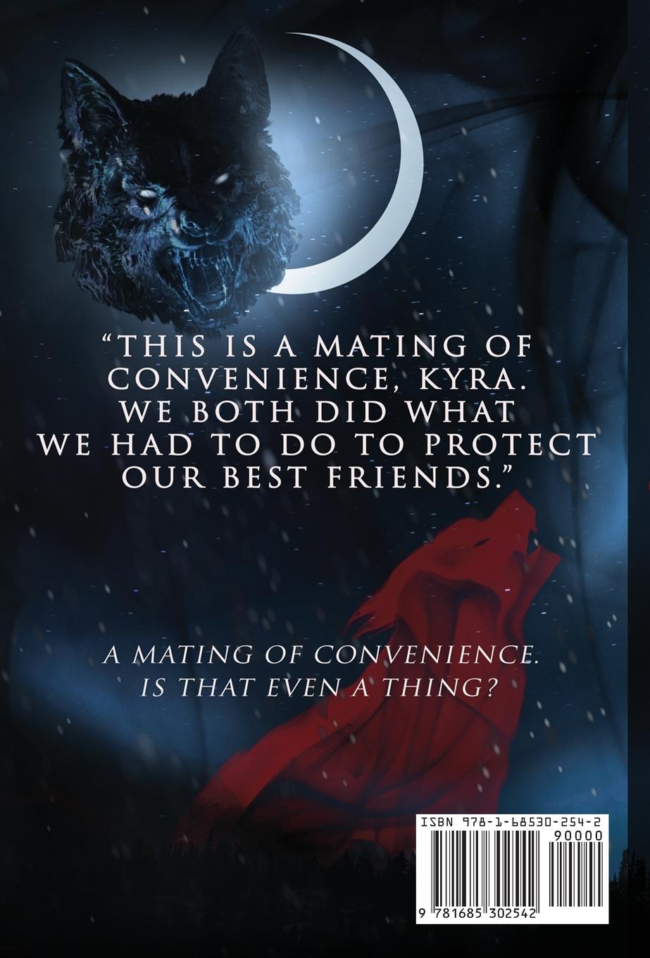 Rückseitencover Night Sector