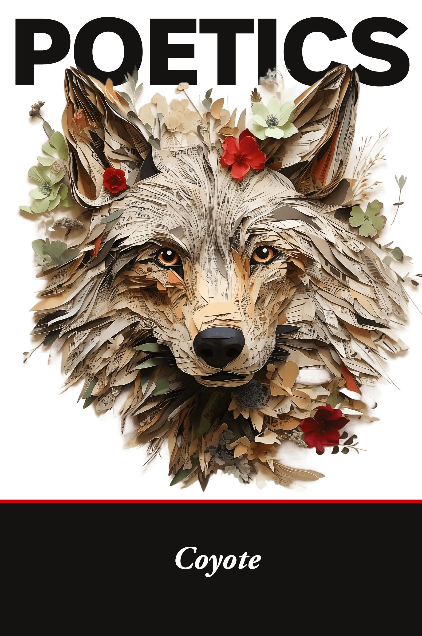 Vorderes Coverbild Poetics