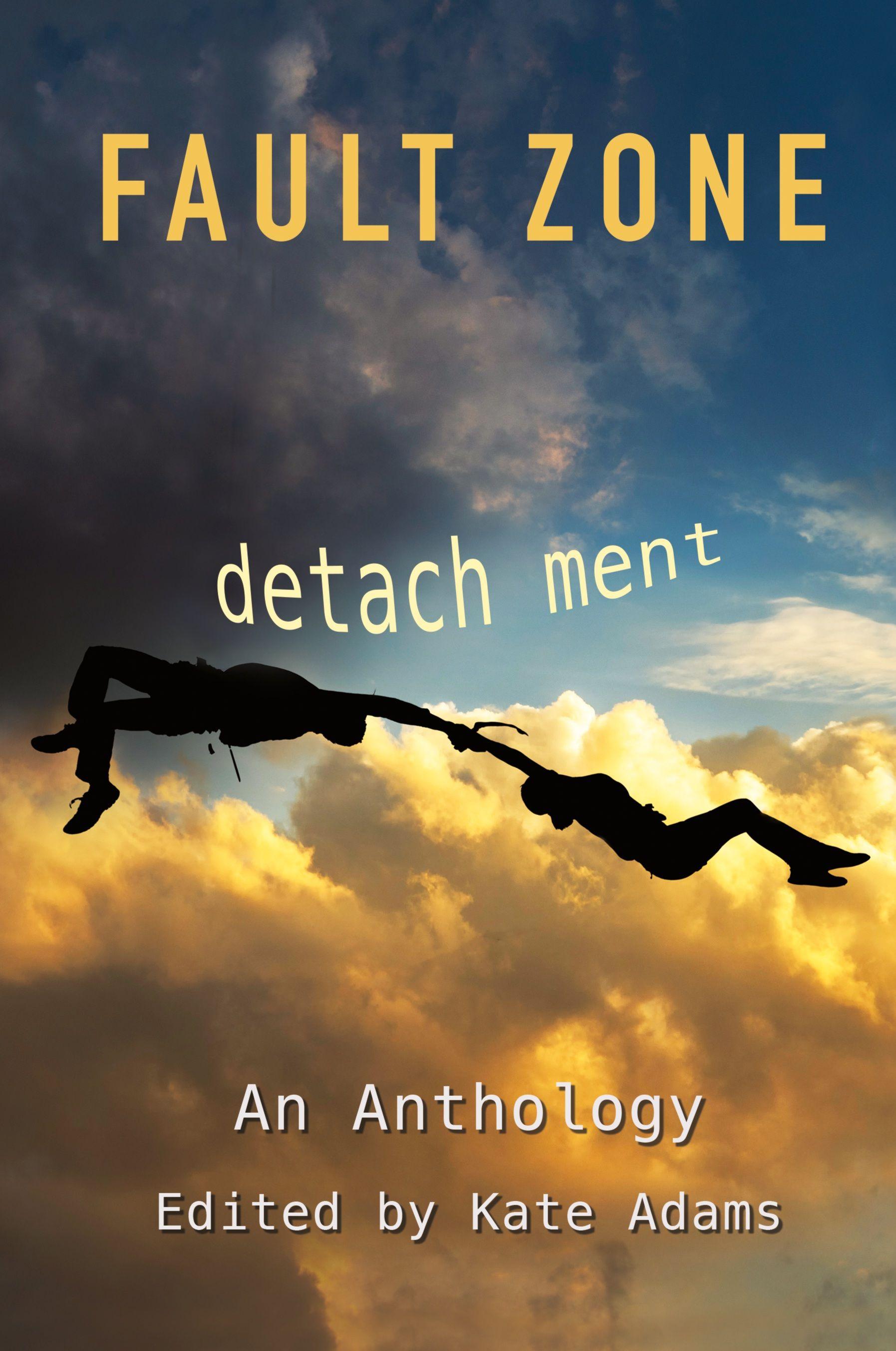 Vorderes Coverbild Fault Zone