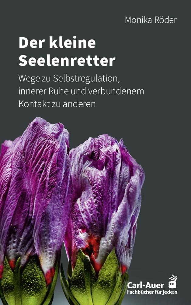 Vorderes Coverbild Der kleine Seelenretter