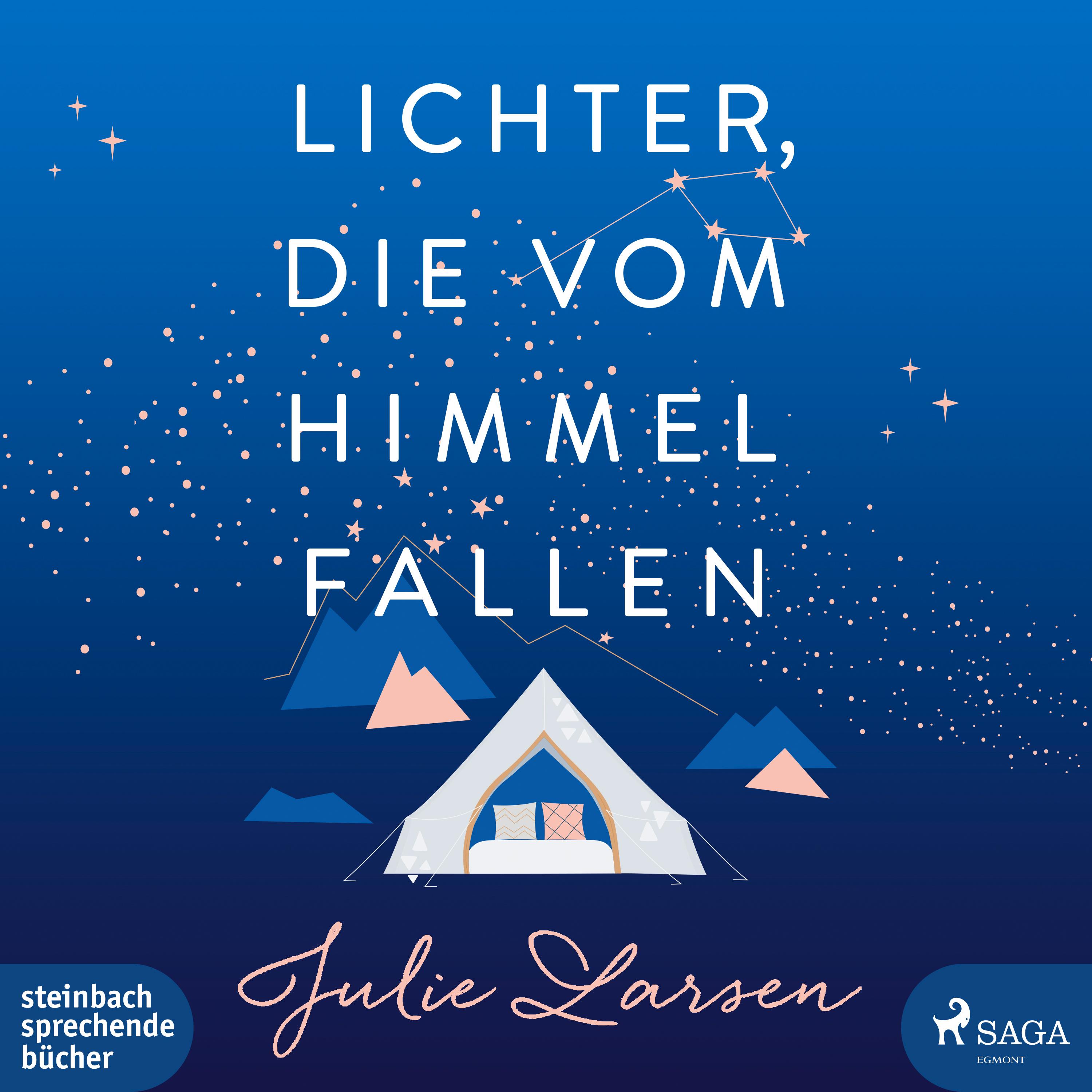 Vorderes Coverbild Lichter, die vom Himmel fallen