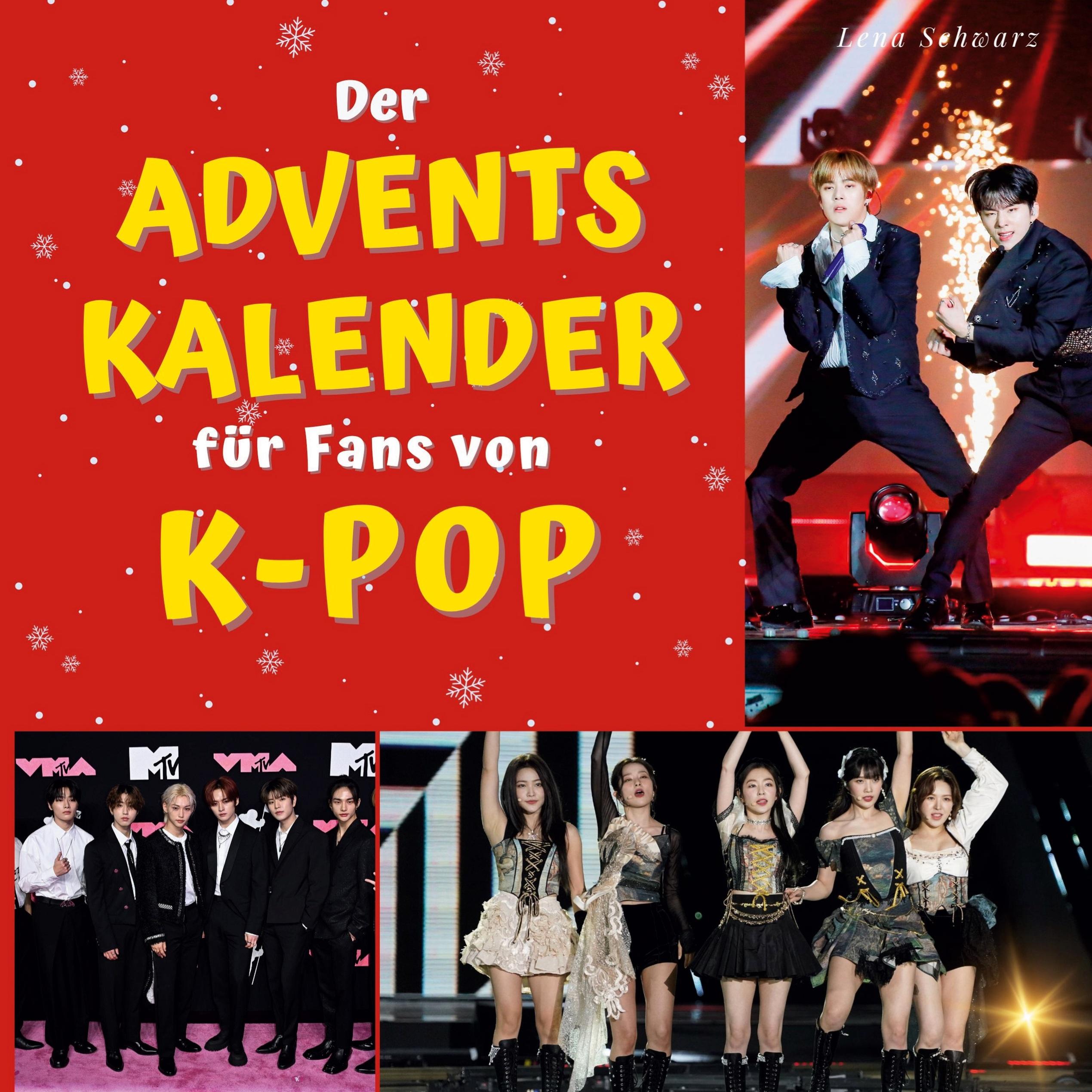 Vorderes Coverbild Der Adventskalender für Fans von  K-Pop