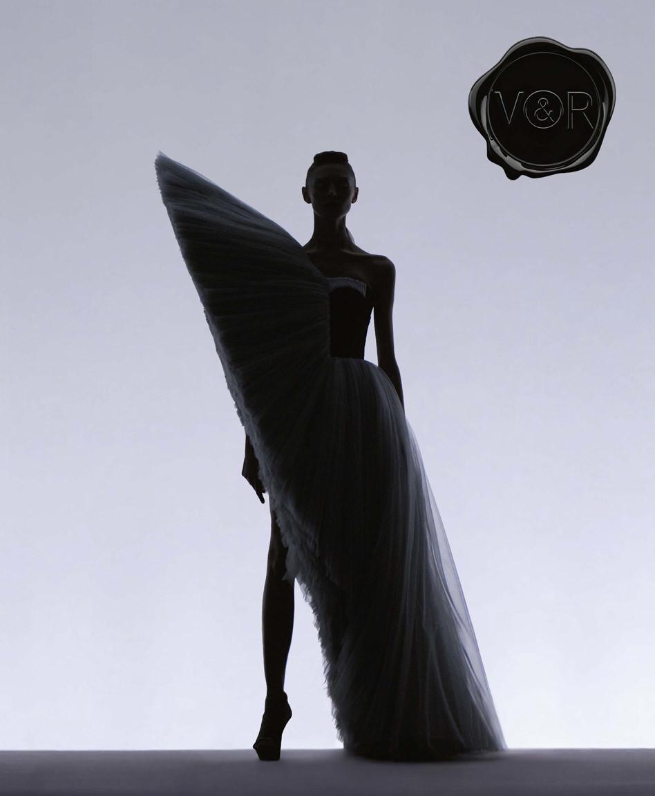 Vorderes Coverbild Viktor&Rolf - Fashion Statements