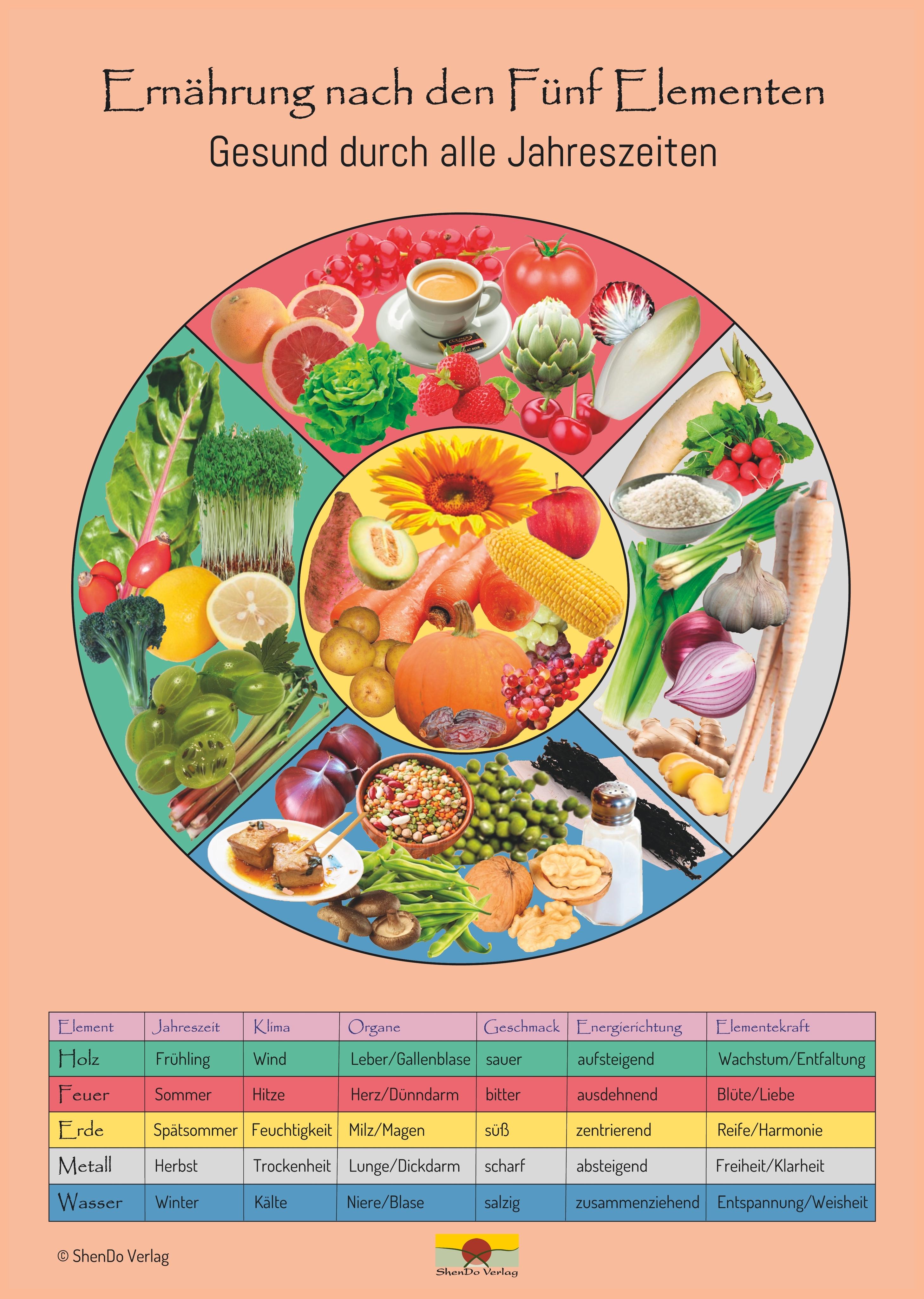 Vorderes Coverbild Ernährung nach den Fünf Elementen - Gesund durch alle Jahreszeiten Schaubild DIN A3