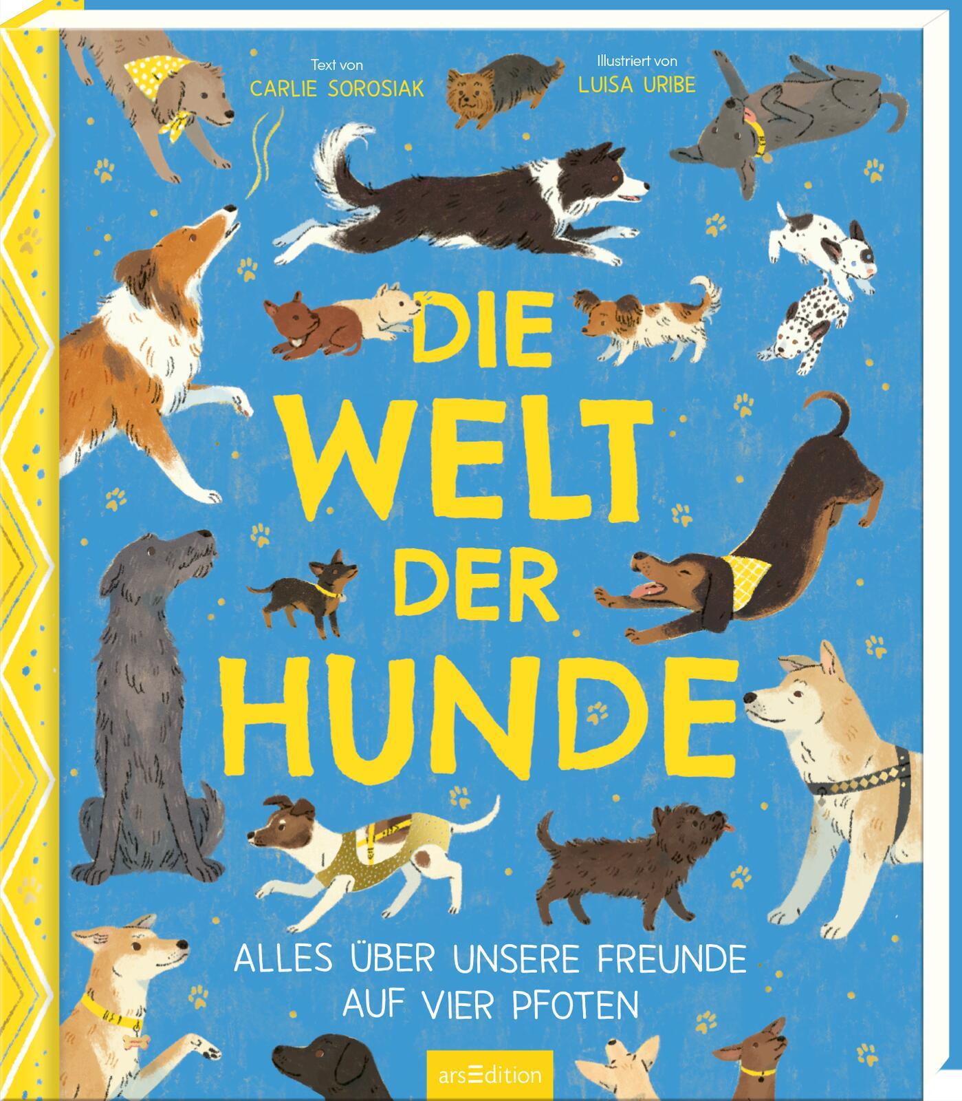 Vorderes Coverbild Die Welt der Hunde