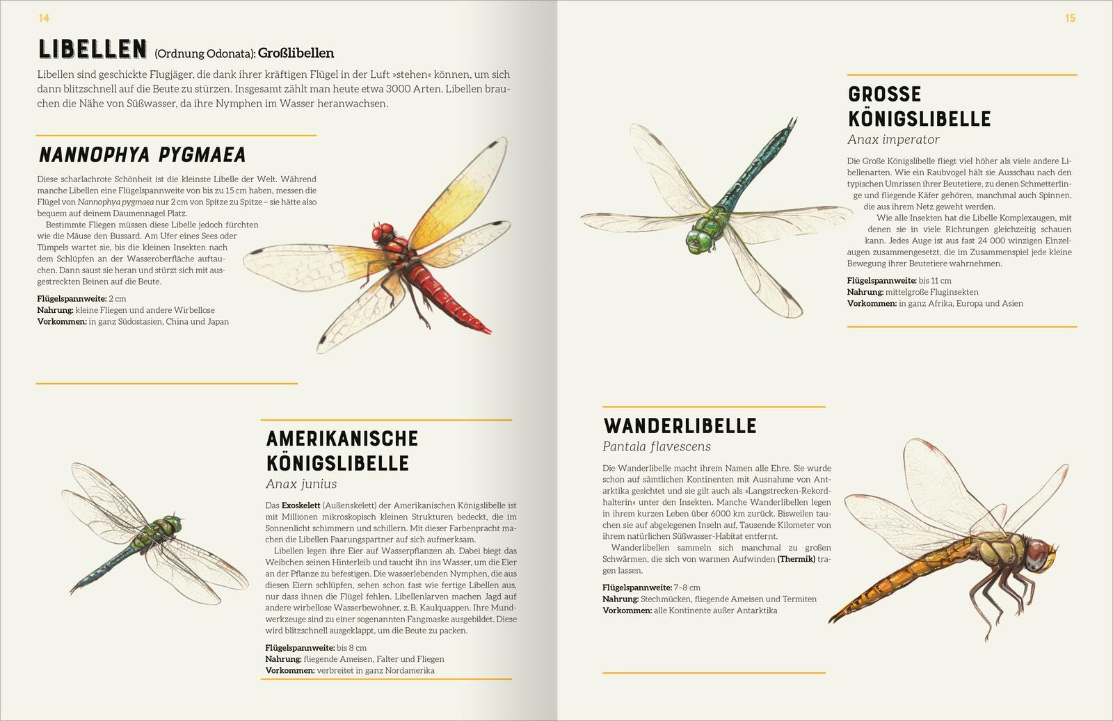 Beispielinhalt (Bild) Das große Lexikon der Insekten