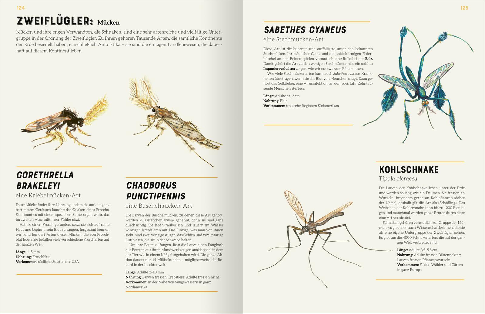Beispielinhalt (Bild) Das große Lexikon der Insekten