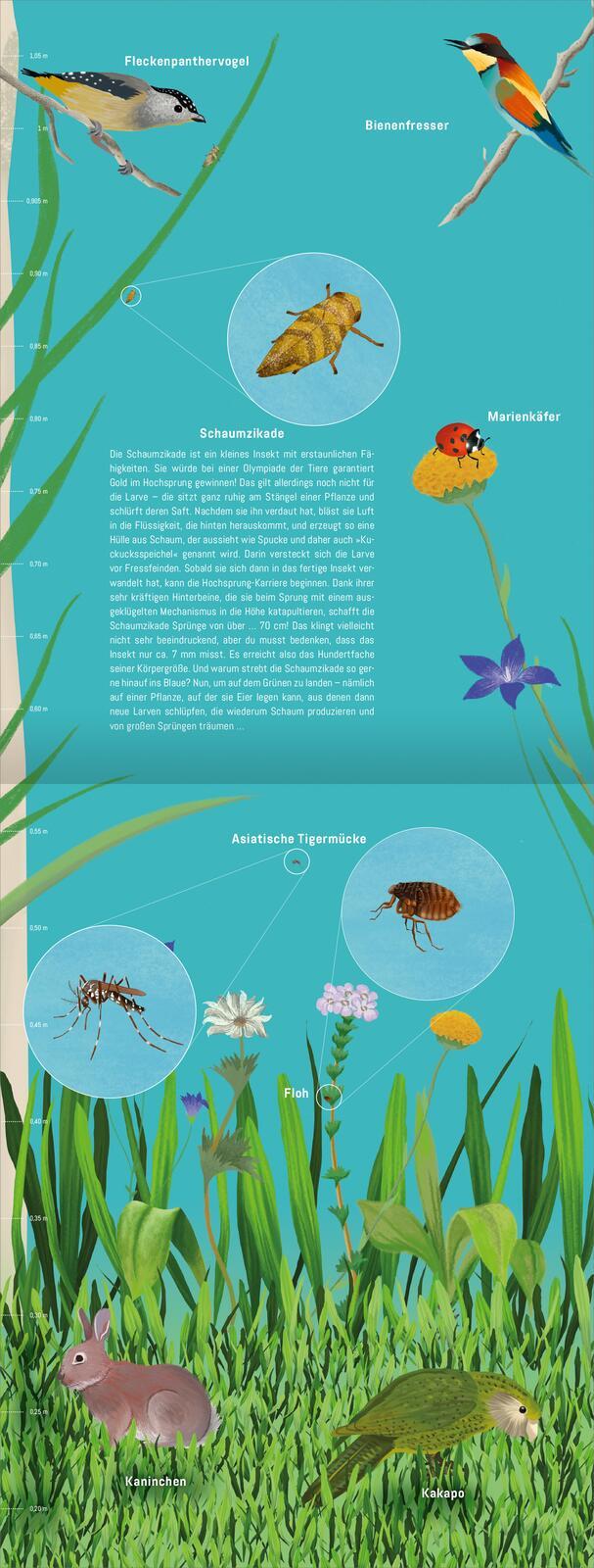 Beispielinhalt (Bild) Hinauf ins Himmelblau