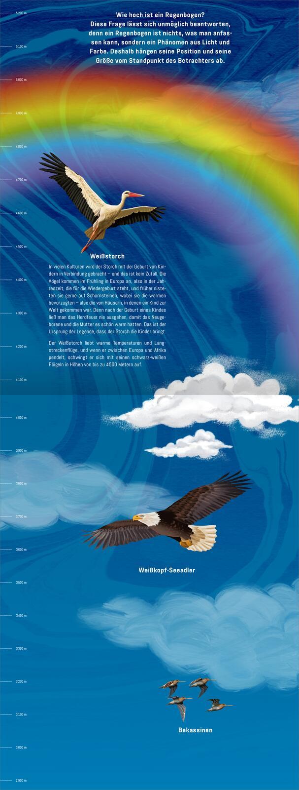 Beispielinhalt (Bild) Hinauf ins Himmelblau