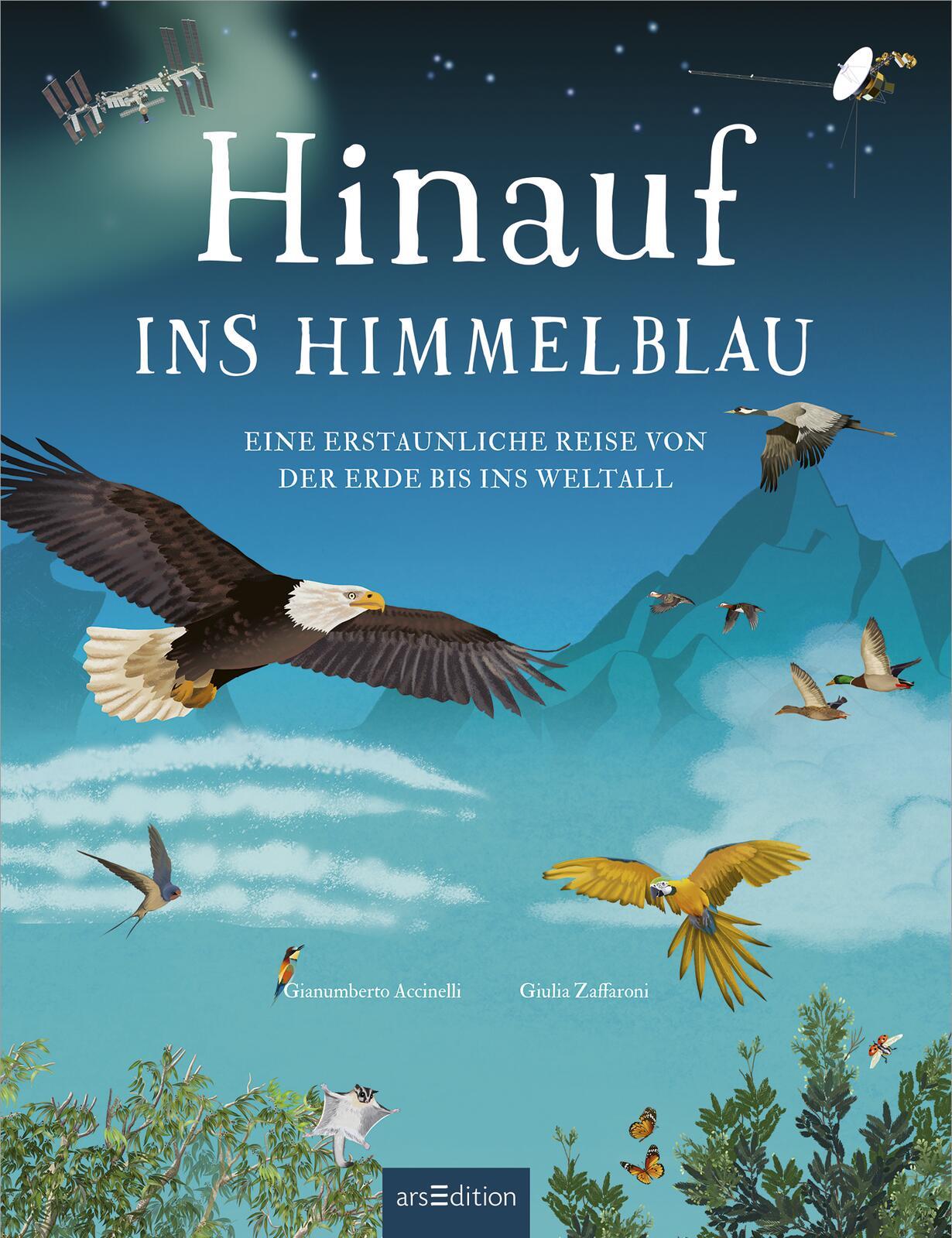 Beispielinhalt (Bild) Hinauf ins Himmelblau